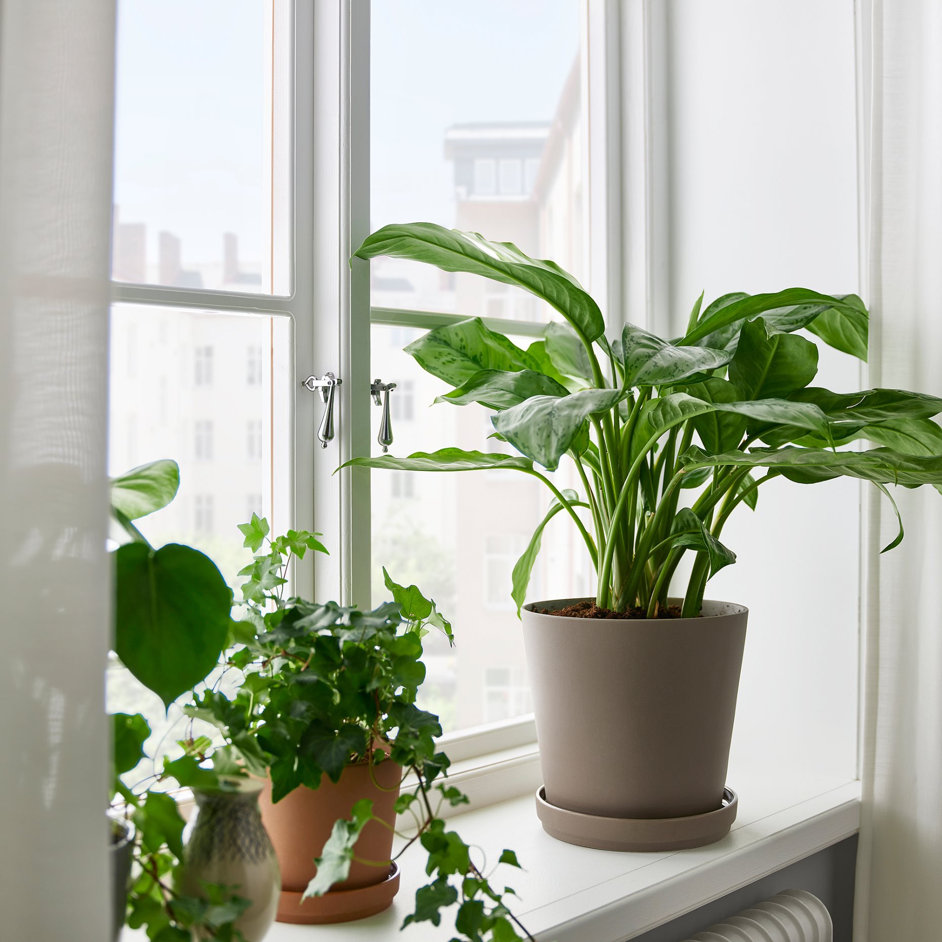 KLARBÄR, plant pot with saucer/in/outdoor, 19 cm, 005.108.22