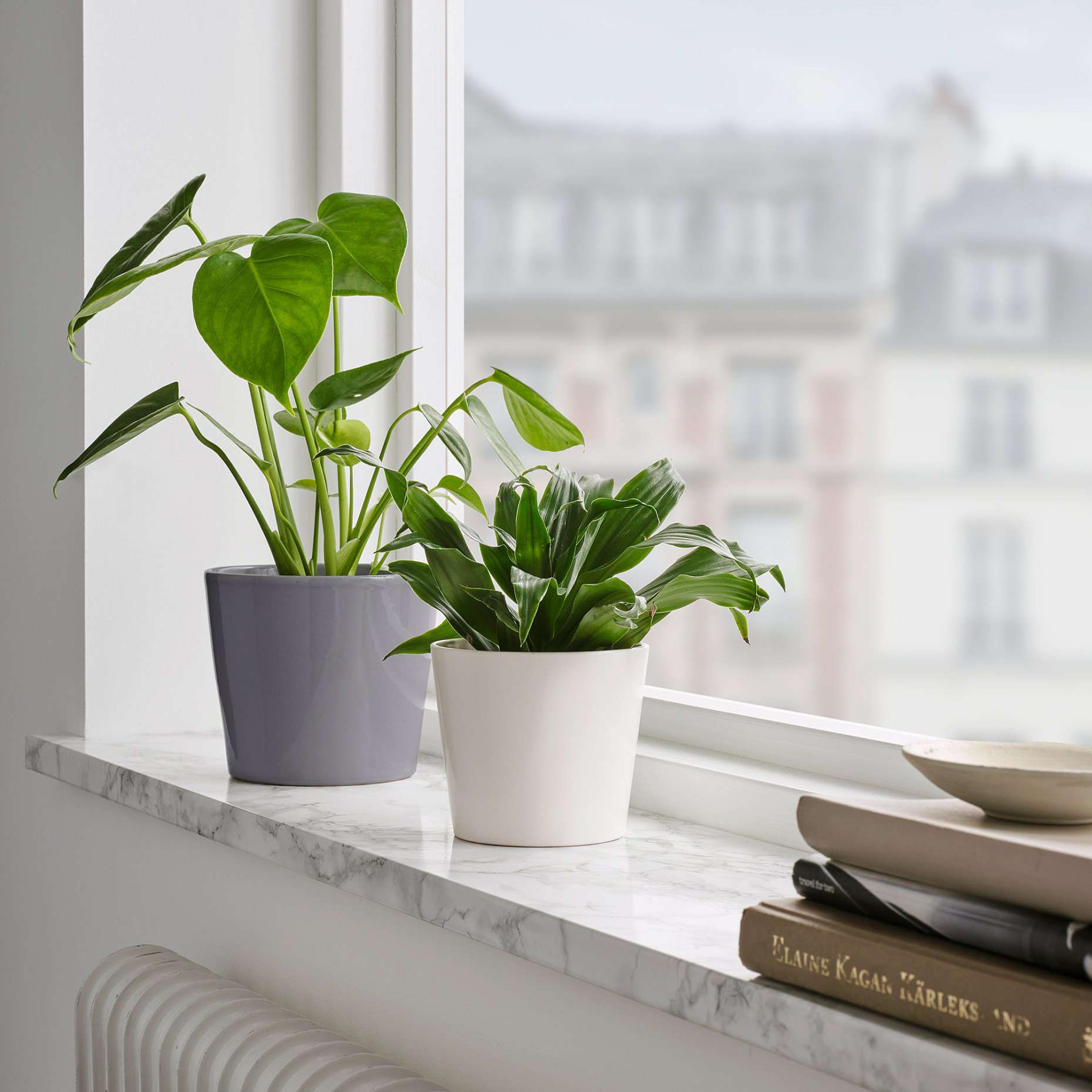 SOJABÖNA, plant pot, 9 cm, 005.335.74