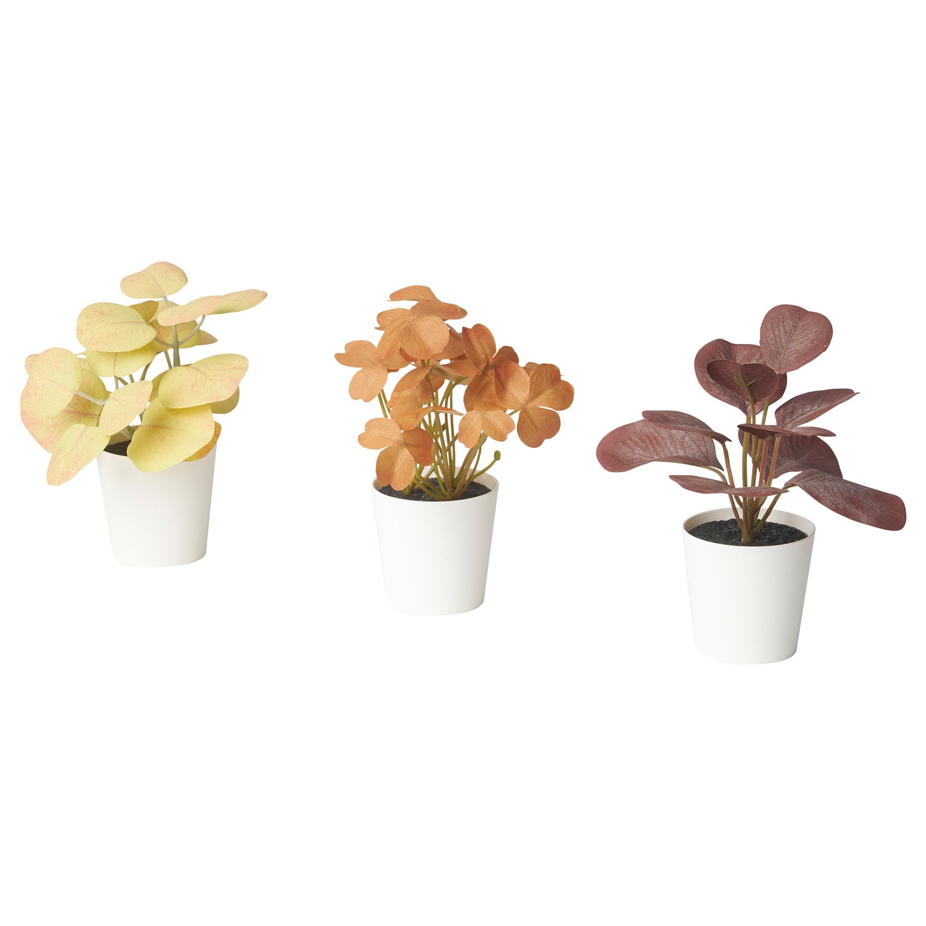 FEJKA, artificial potted plant with pot in/outdoor leaves/set of 3, 6 cm, 006.014.69