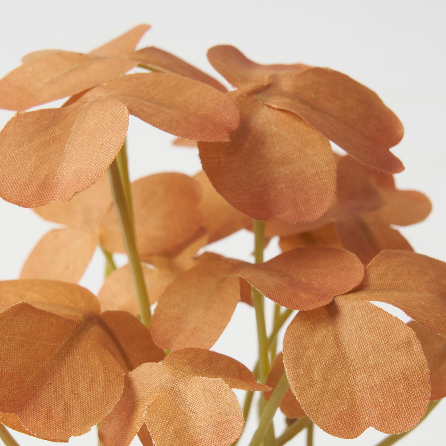 FEJKA, artificial potted plant with pot in/outdoor leaves/set of 3, 6 cm, 006.014.69