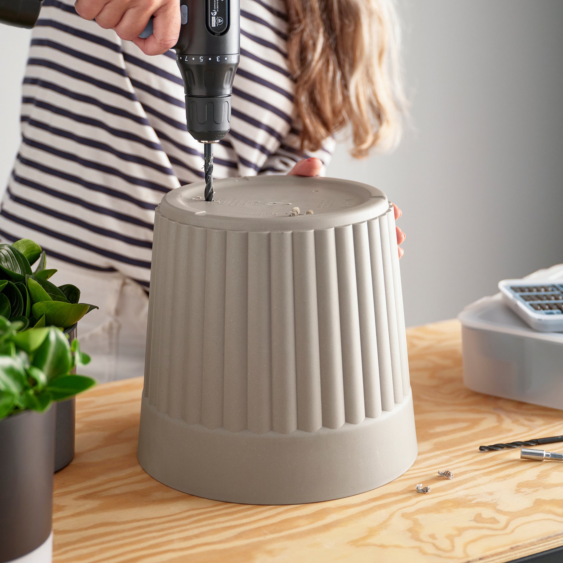 FRÄKENVÄXT, plant pot in/outdoor, 24 cm, 006.106.09