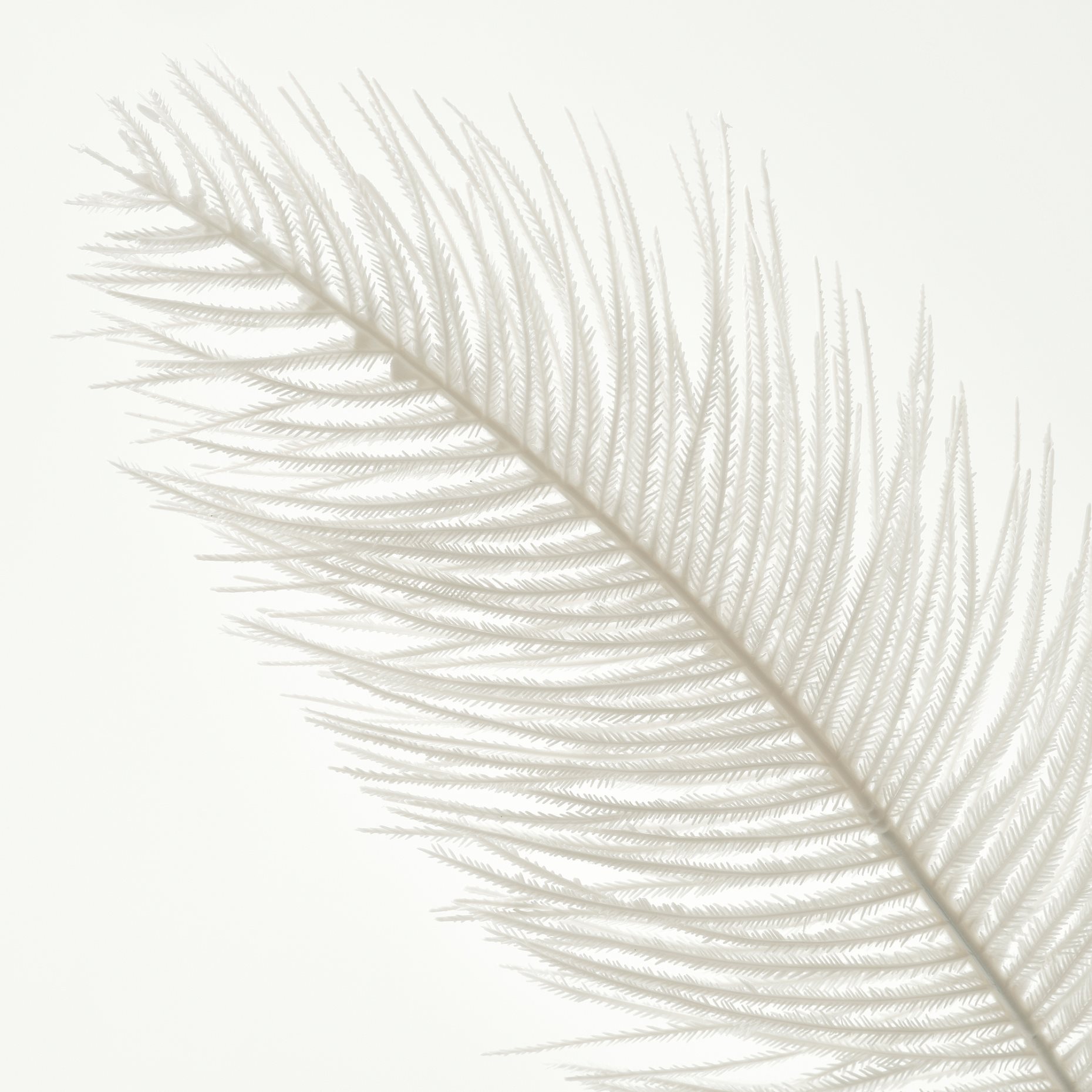 SMYCKA, artificial spray in/outdoor, 65 cm, 006.142.21