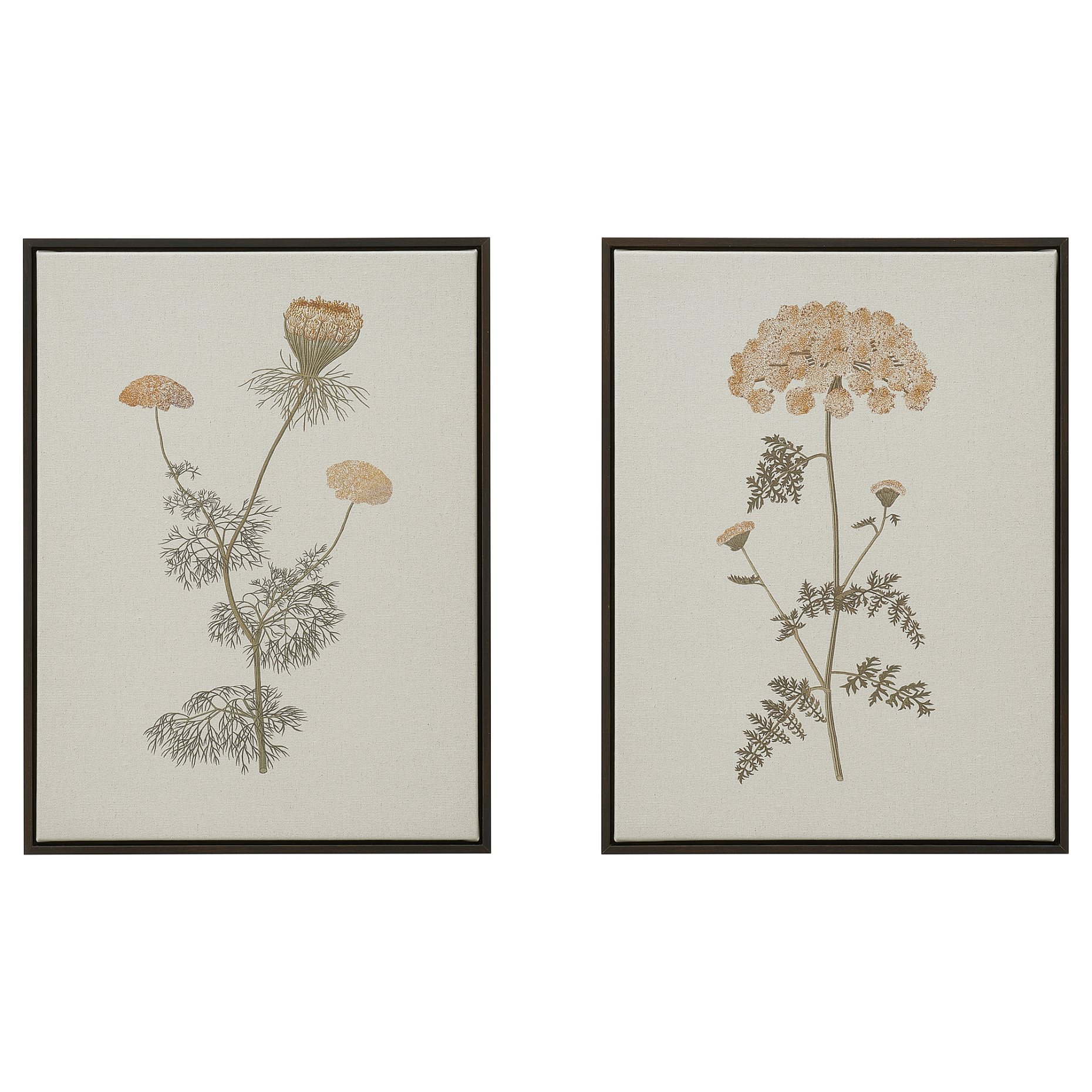 BLODFLÄDER, picture/floral simplicity/2 pack, 30x40 cm, 006.234.71