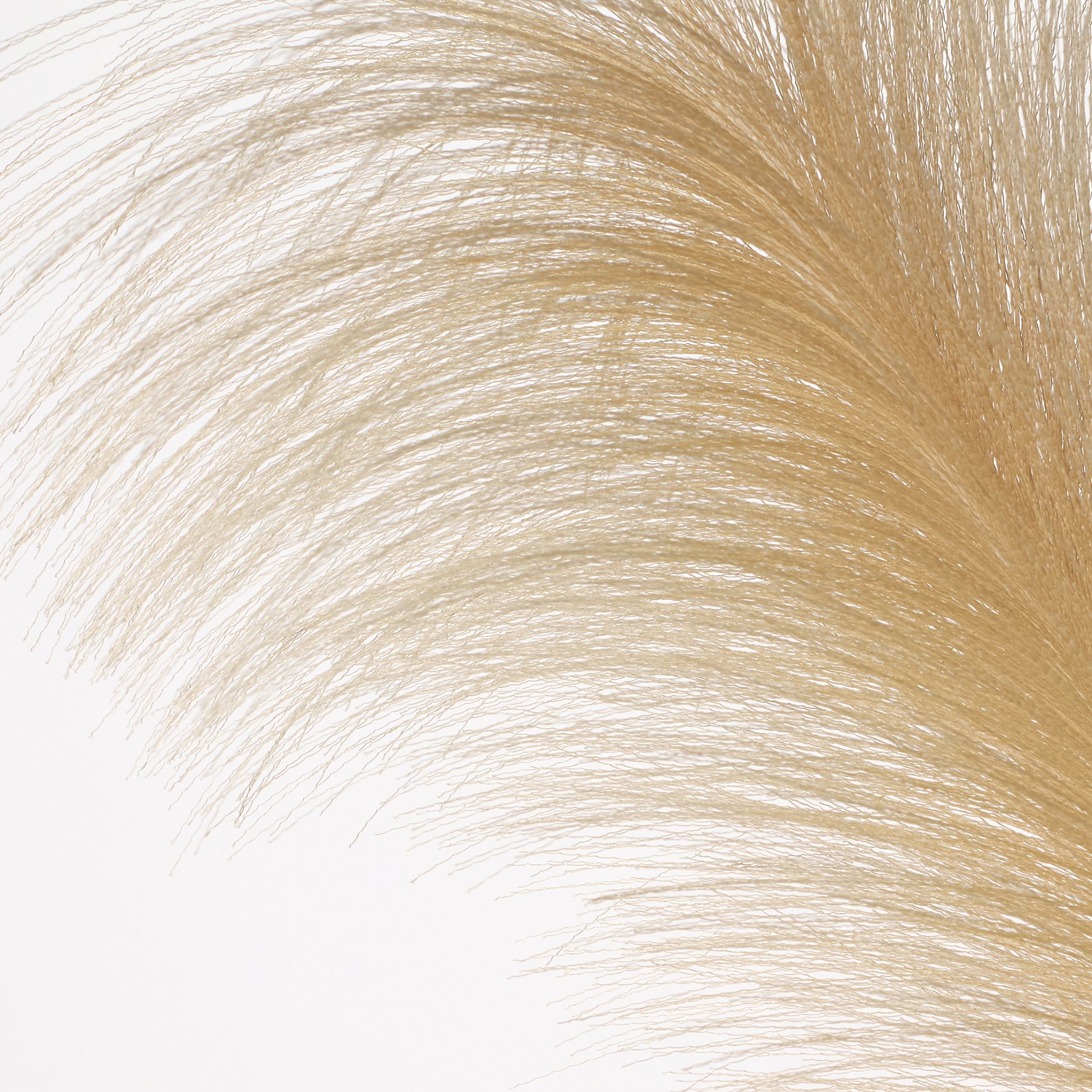 SMYCKA, artificial flower/Pampas grass, 86 cm, 105.303.58