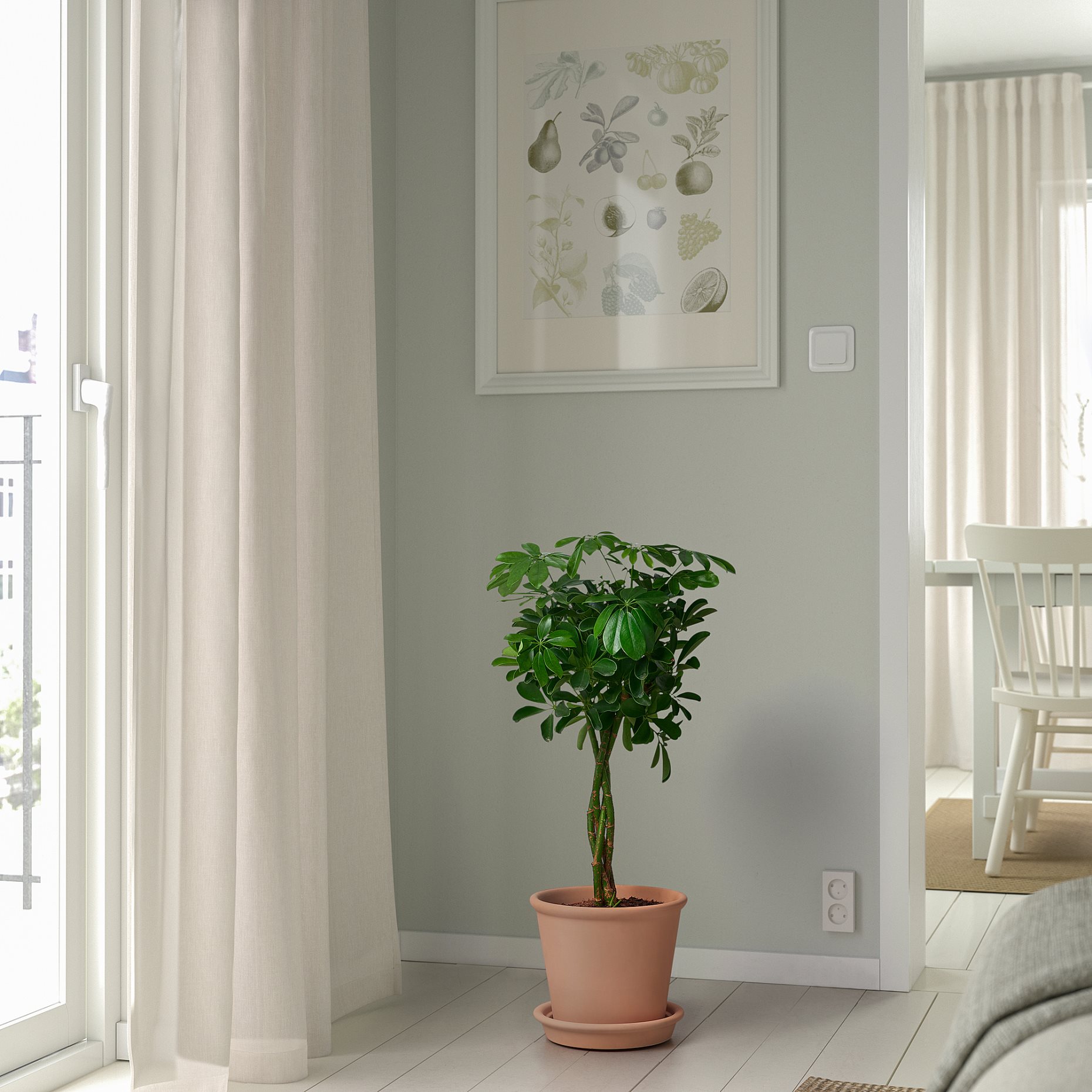 MUSKOTBLOMMA, plant pot with saucer/in/outdoor, 19 cm, 105.607.22