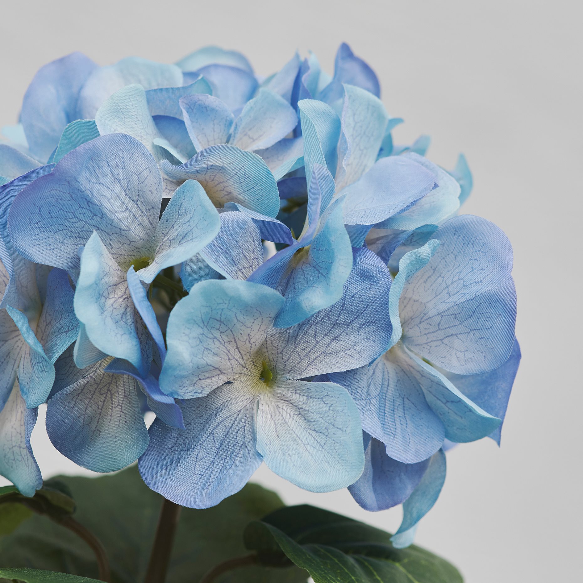 SMYCKA, artificial flower in/outdoor/hydrangea, 55 cm, 106.176.86