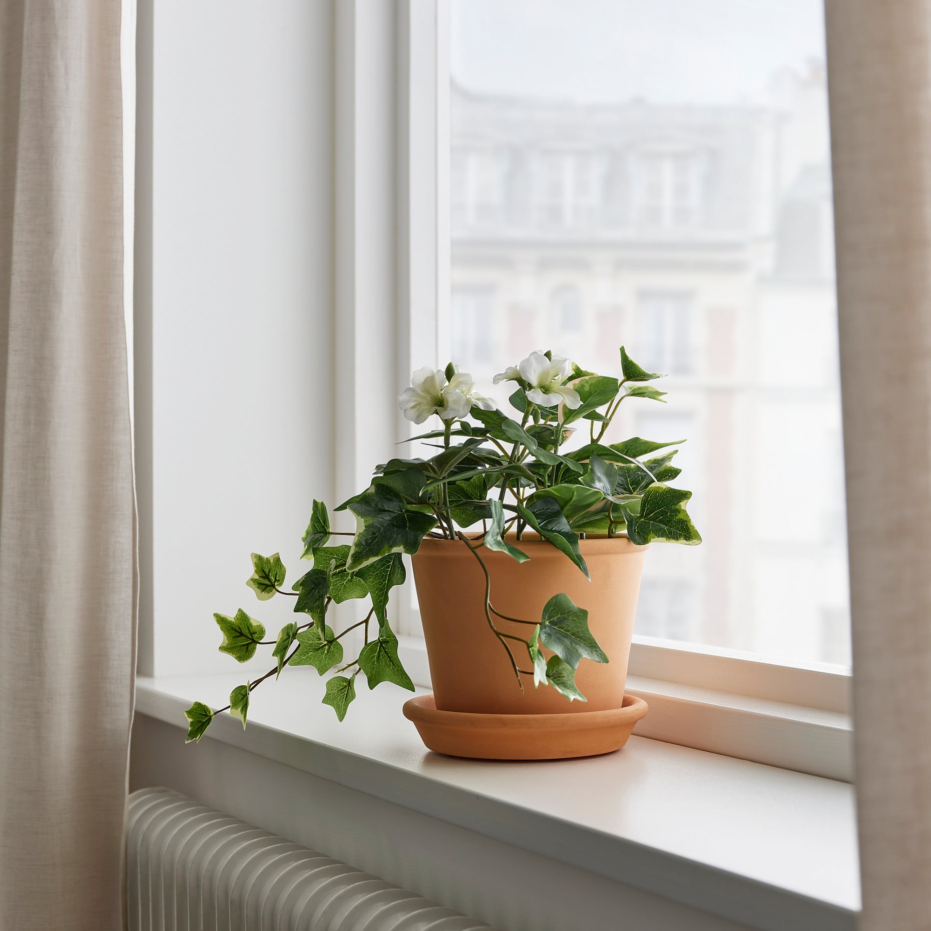 FEJKA, τεχνητό φυτό σε γλάστρα/σύνθεση/εσωτερικού/εξωτερικού χώρου, 12 cm, 205.380.09