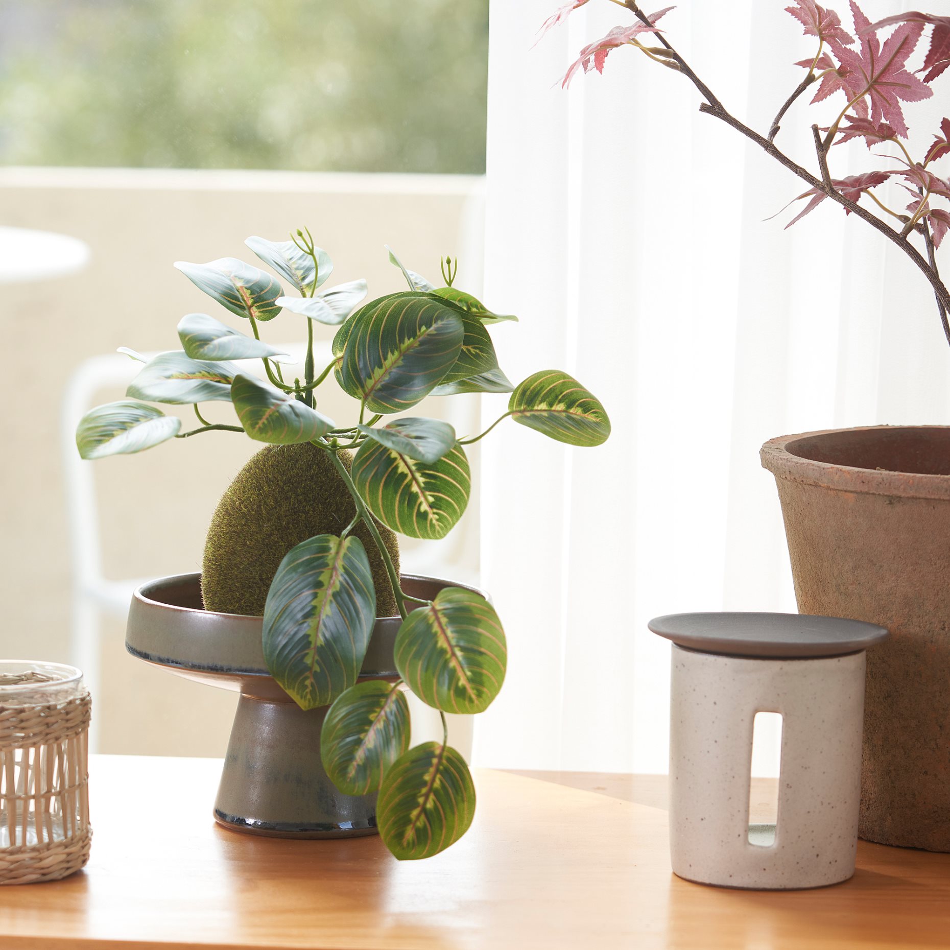 FEJKA, artificial potted plant/moss, 9 cm, 205.599.64