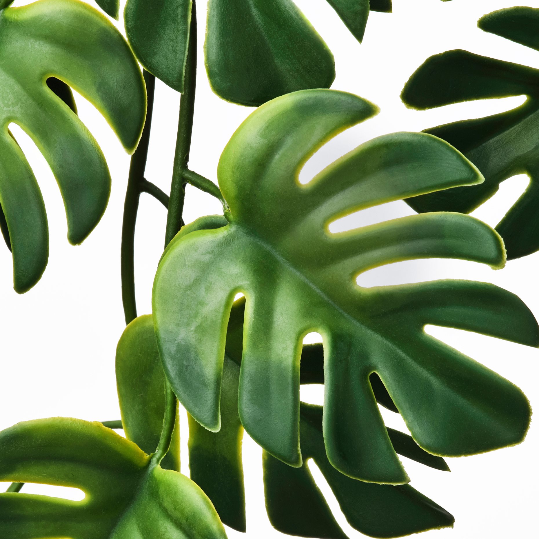 FEJKA, artificial potted plant in/outdoor hanging/Monstera, 9 cm, 206.084.03