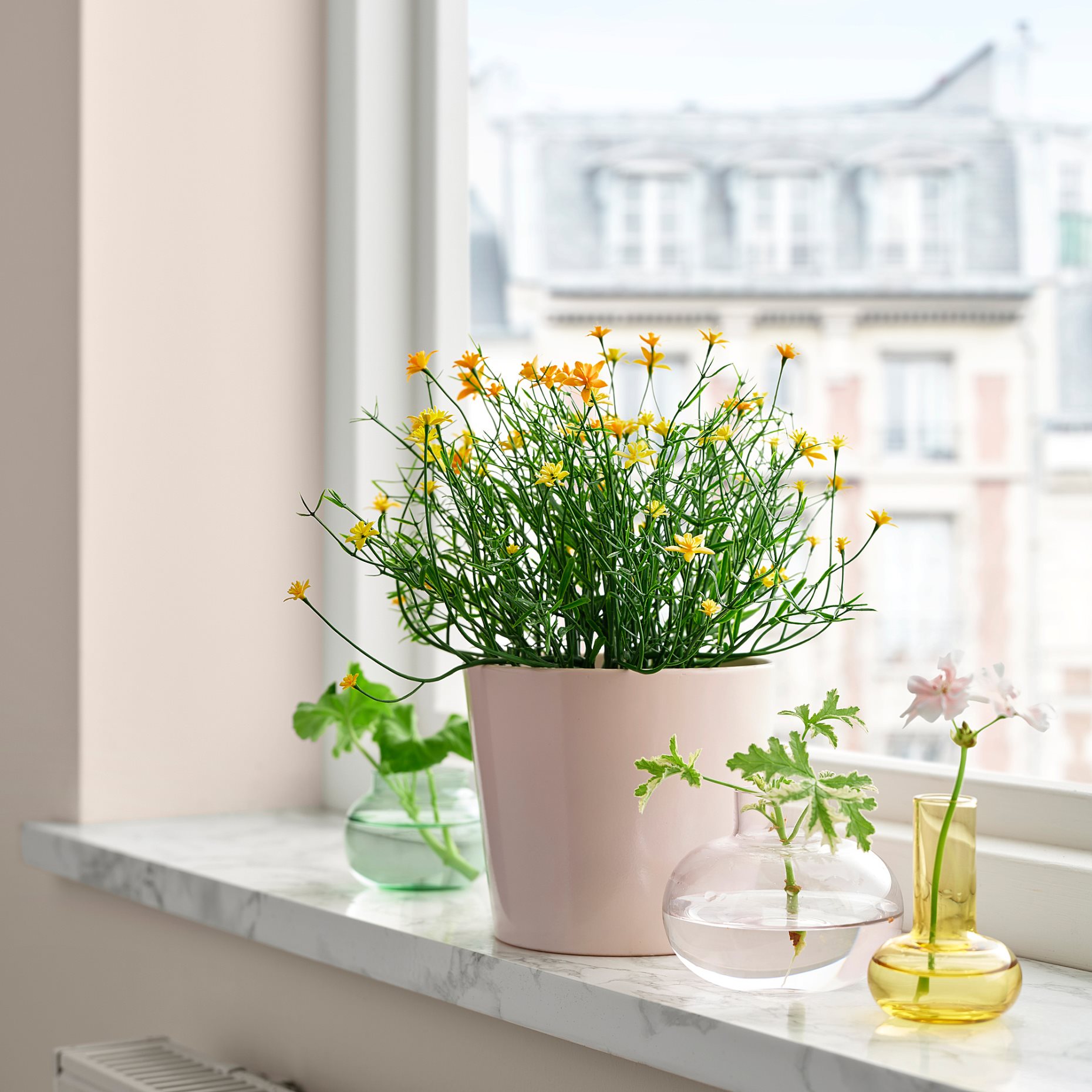 FEJKA, τεχνητό φυτό σε γλάστρα εσωτερικού/εξωτερικού χώρου, 9 cm, 206.133.53