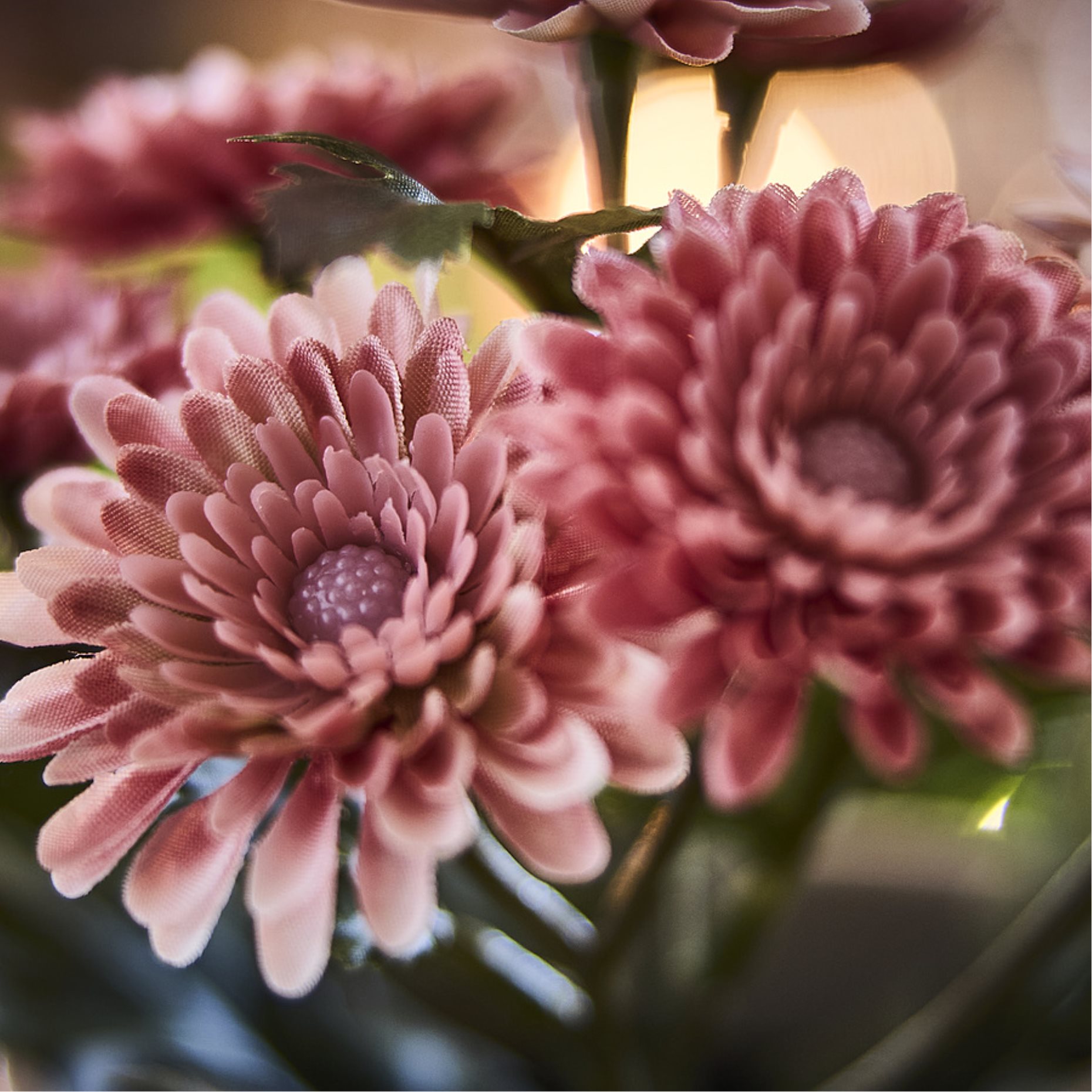 FEJKA2026, artificial potted plant in/outdoor/Chrysanthemums, 9 cm, 206.312.10