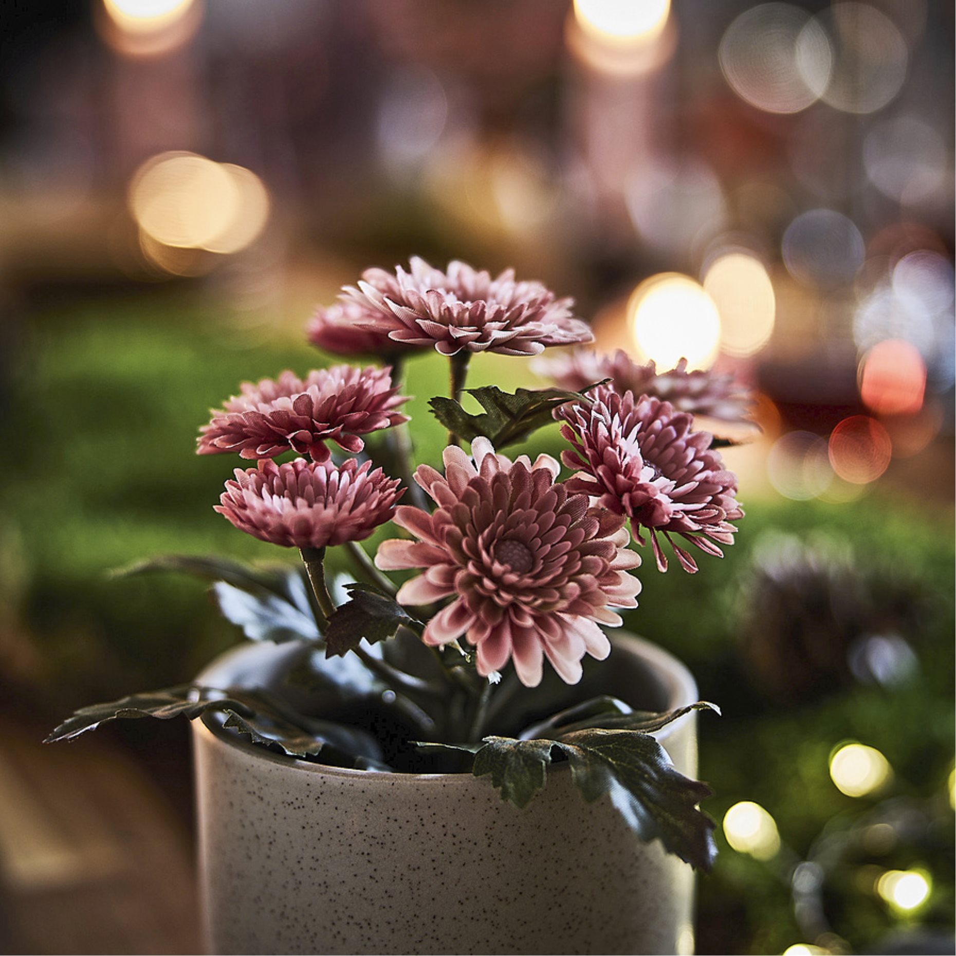 FEJKA2026, artificial potted plant in/outdoor/Chrysanthemums, 9 cm, 206.312.10