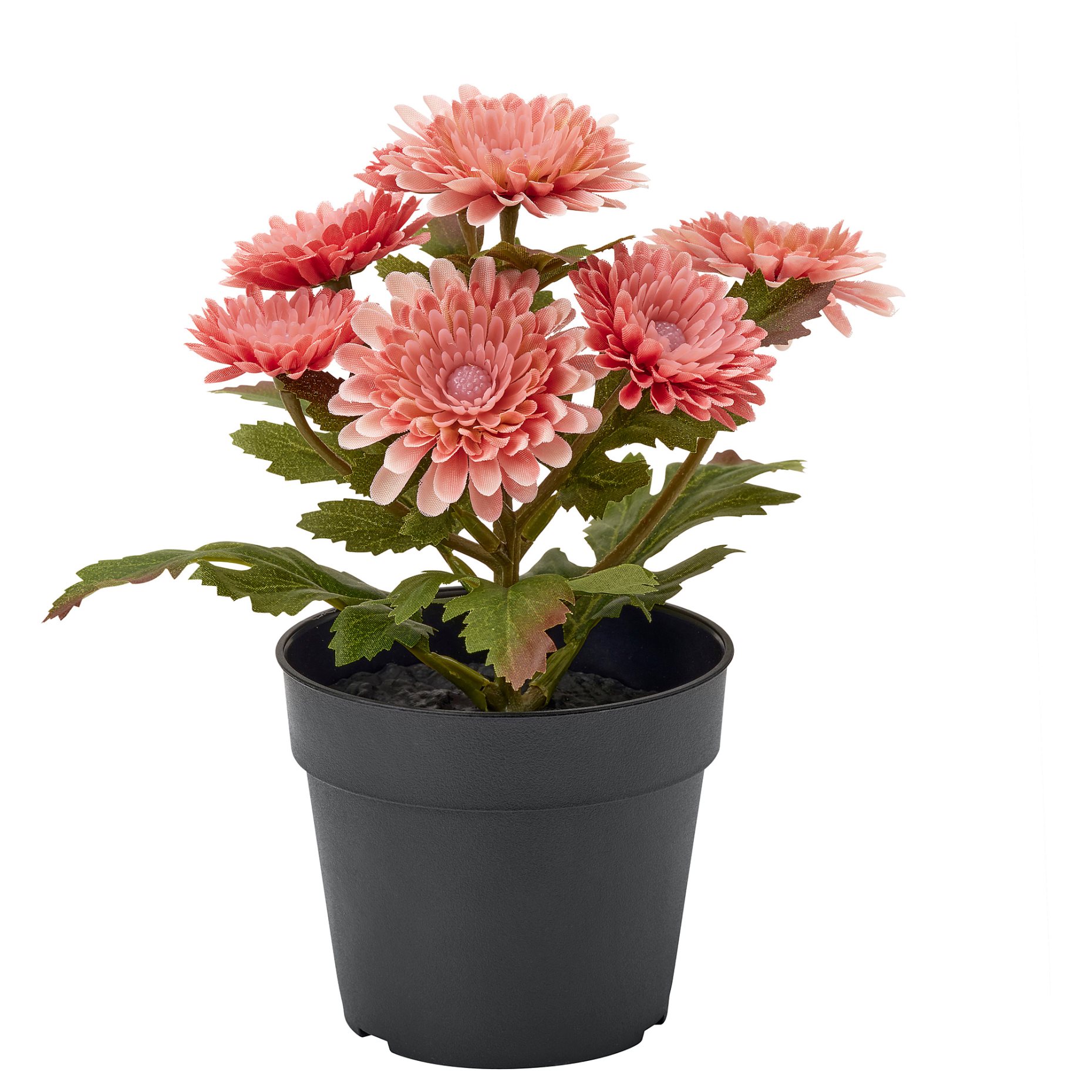FEJKA2026, artificial potted plant in/outdoor/Chrysanthemums, 9 cm, 206.312.10