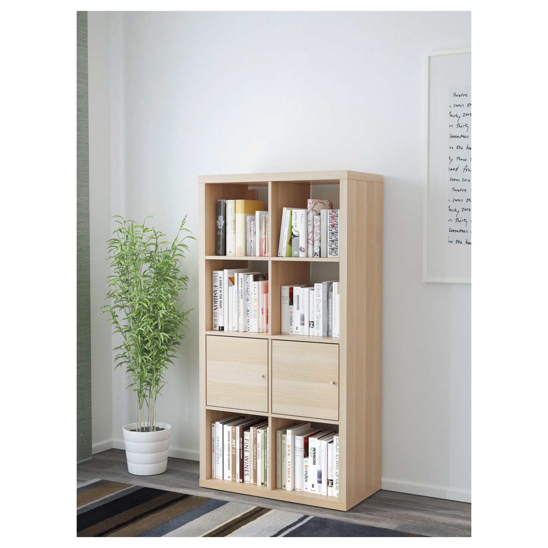 KALLAX, insert with door, 303.245.07
