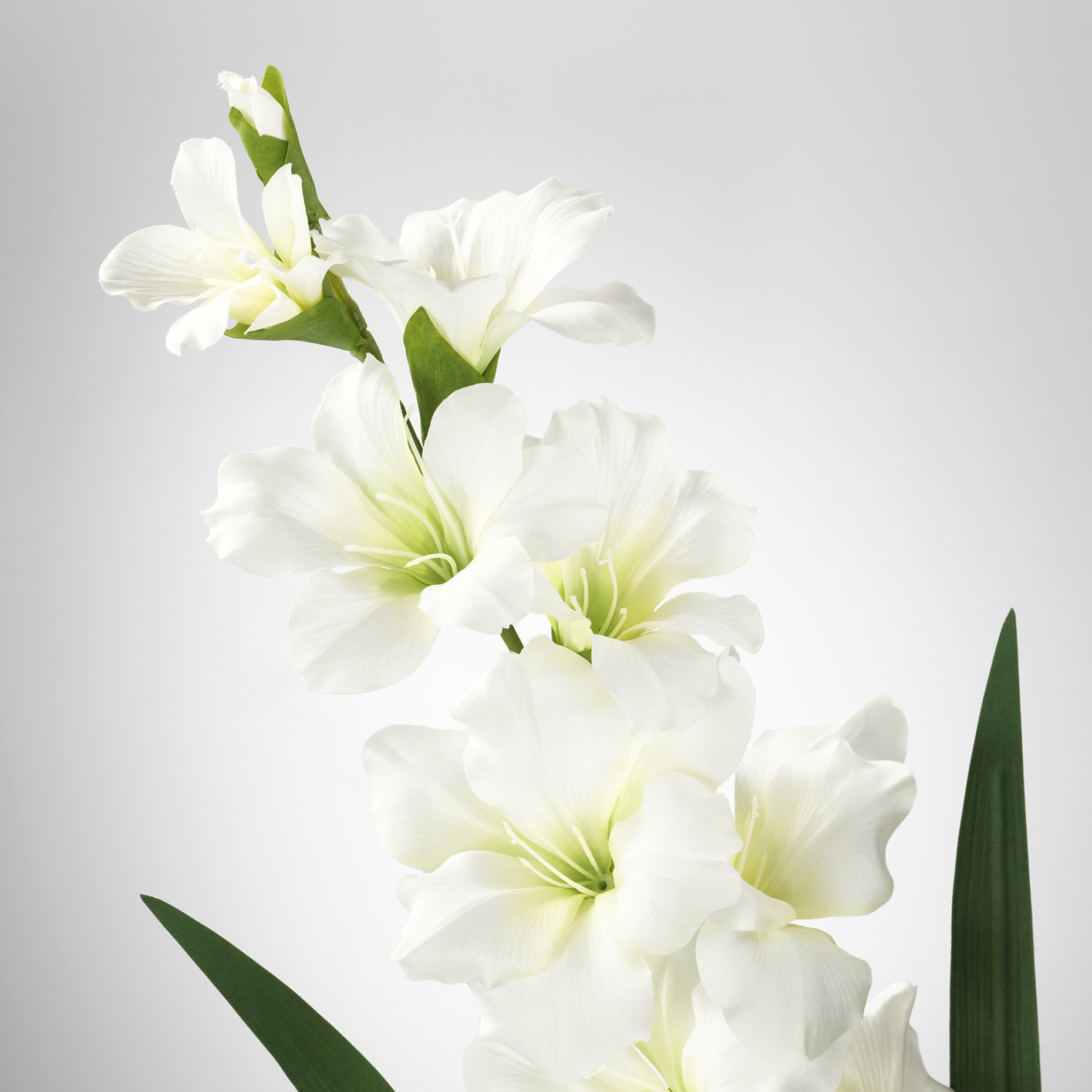 SMYCKA, artificial flower, Gladiolus, 303.335.83