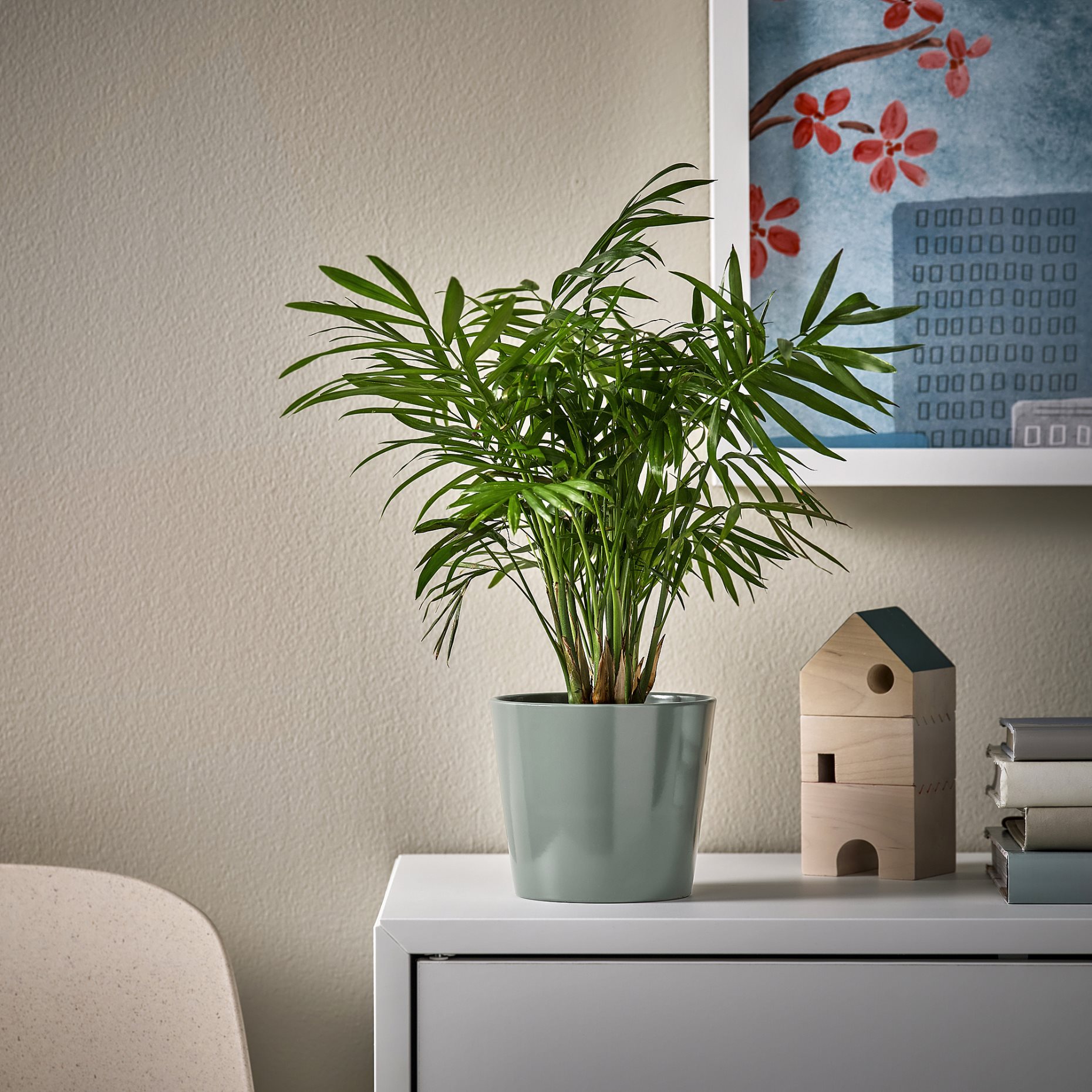 SOJABÖNA, plant pot, 9 cm, 305.865.75