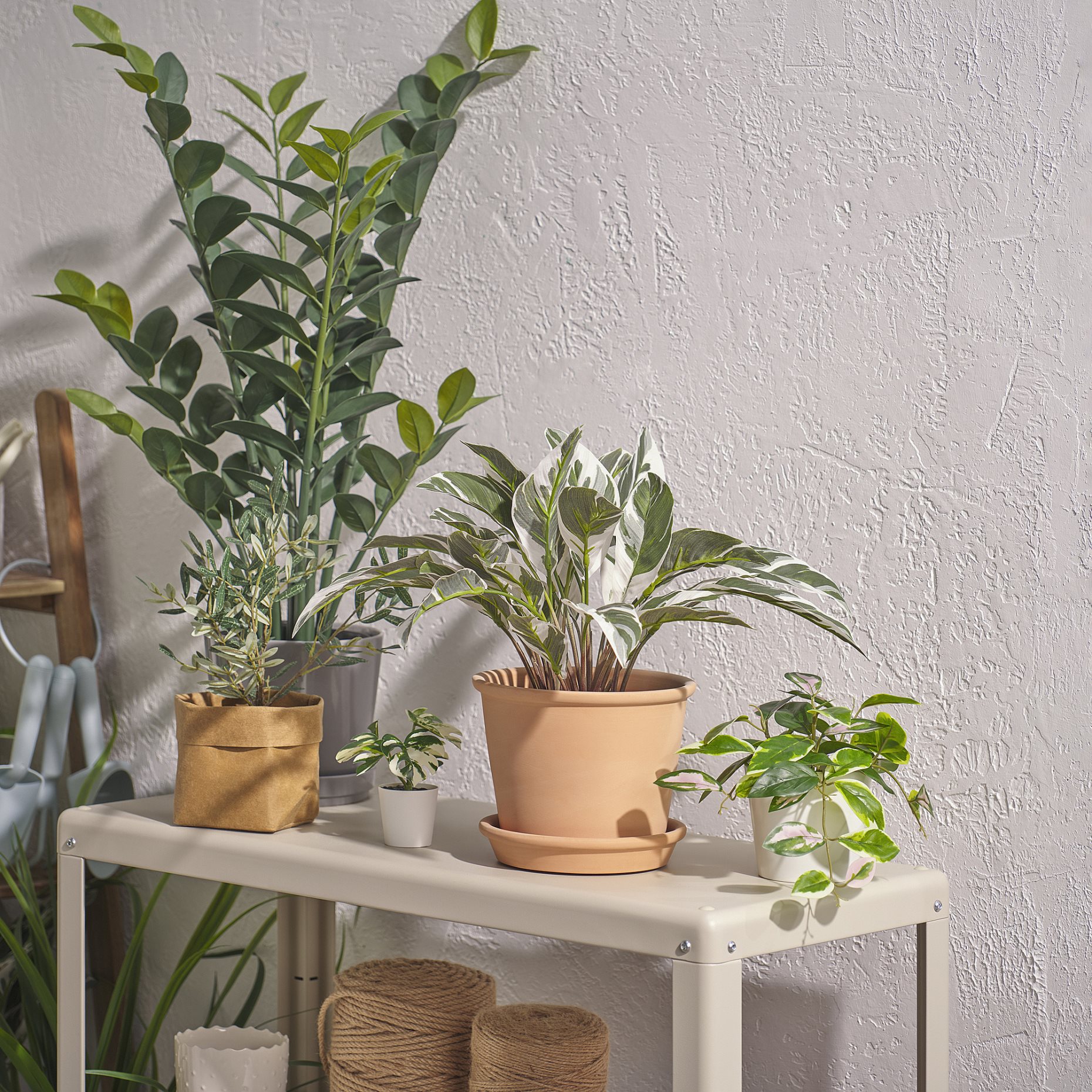 FEJKA, artificial potted plant in/outdoor/Calathea, 15 cm, 305.932.22