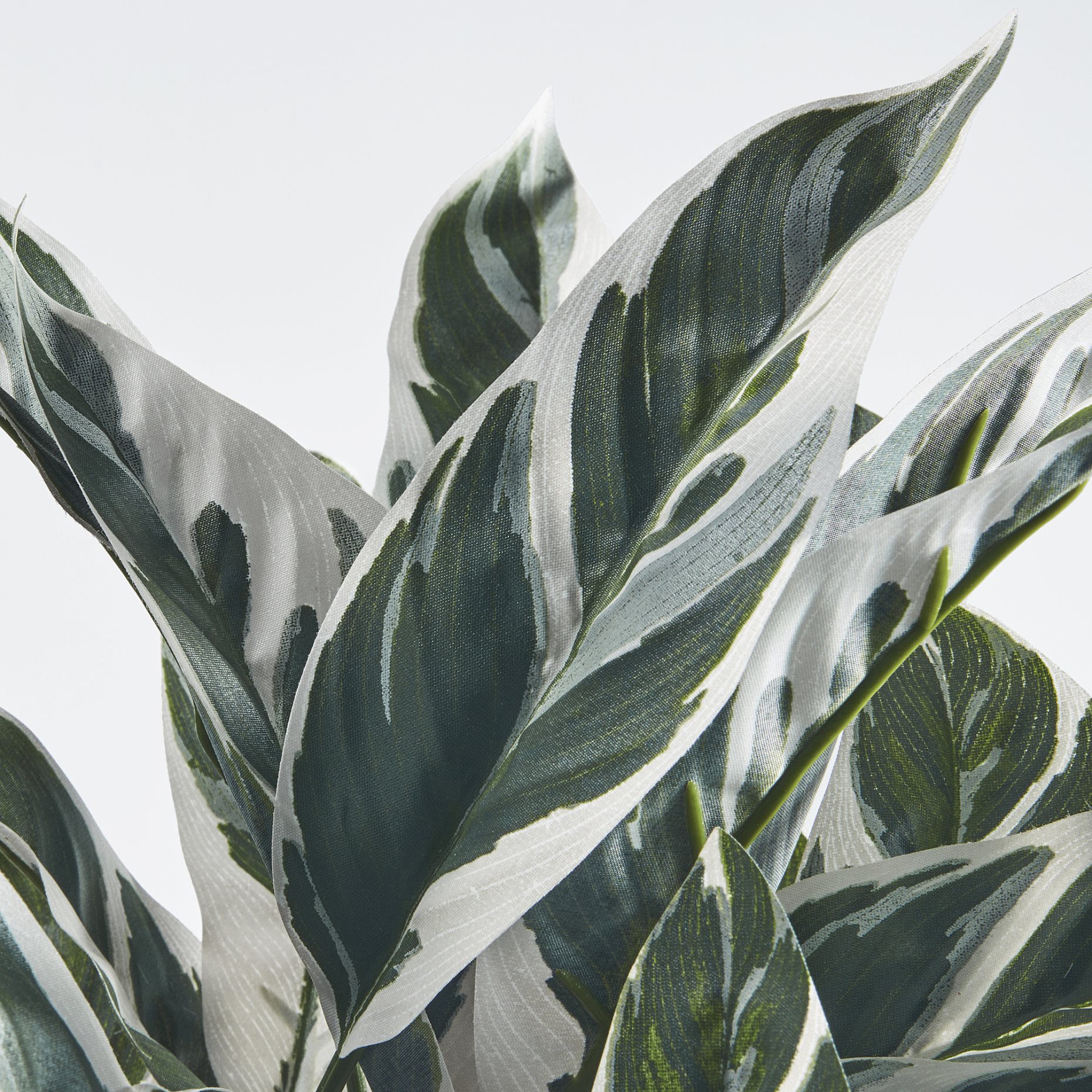 FEJKA, artificial potted plant in/outdoor/Calathea, 15 cm, 305.932.22