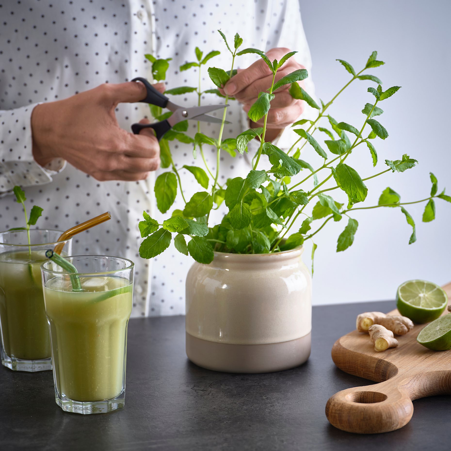 BRUGDHAJ, δοχείο με καπάκι, 1 l, 305.961.69