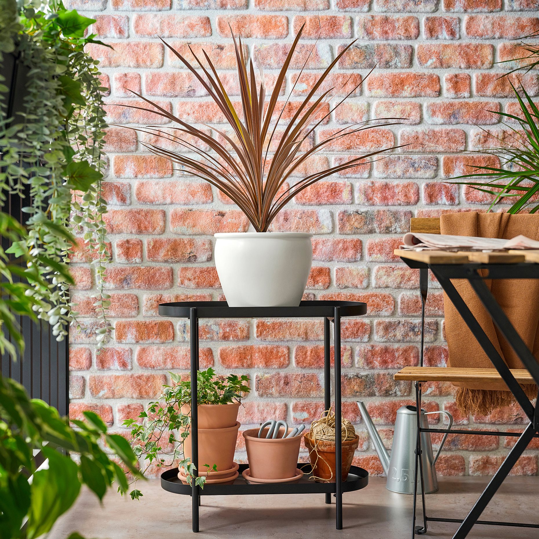 CORDYLINE INDIV, potted plant/Mountain cabbage tree, 17 cm, 306.041.31