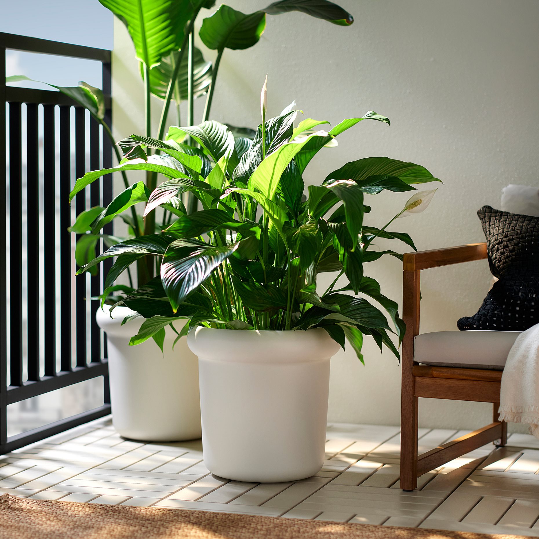 MÅBÄRSBUSKE, plant pot outdoor, 32 cm, 306.124.71