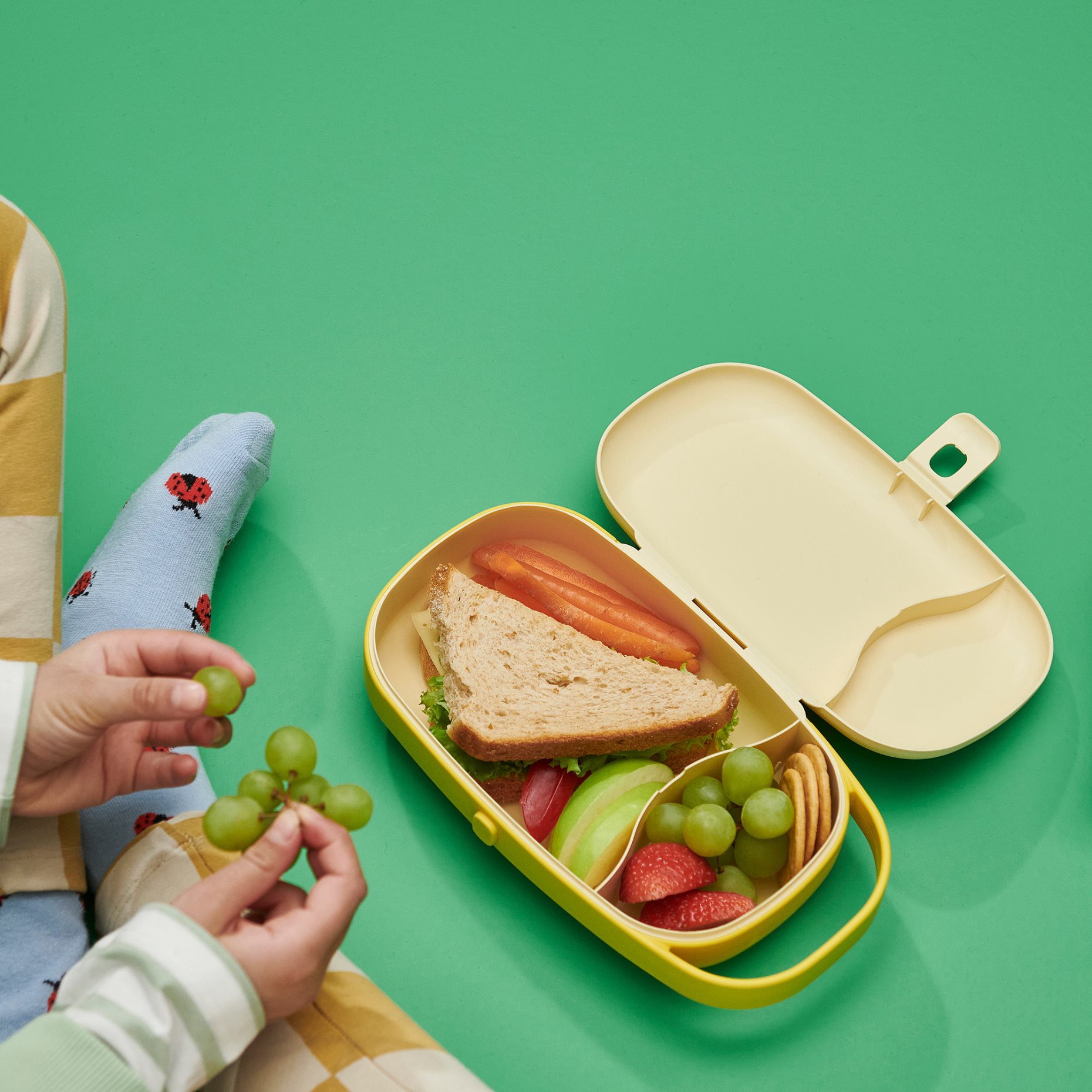 KAPTENSFISK, lunch box, 23x13x6 cm, 306.168.98