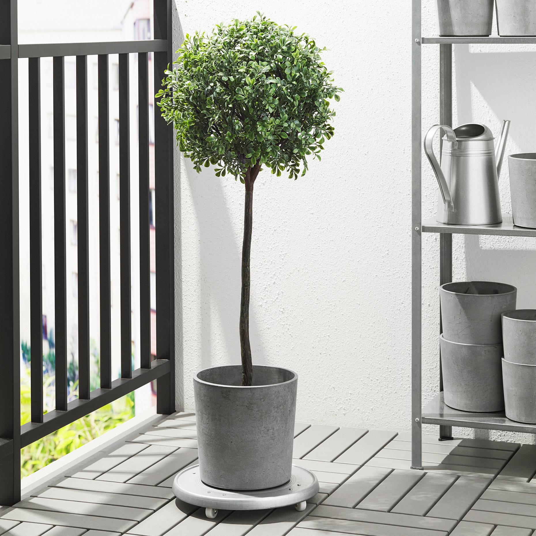 BOYSENBÄR, plant pot, in/outdoor, 404.592.56