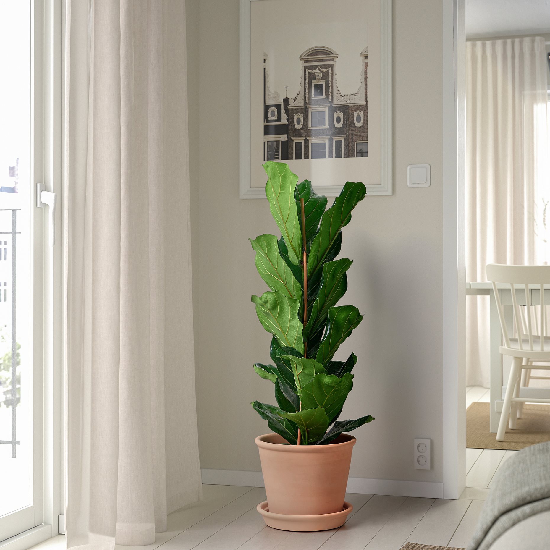 MUSKOTBLOMMA, κασπό με πιάτο/εσωτερικού/εξωτερικού χώρου, 24 cm, 405.607.25