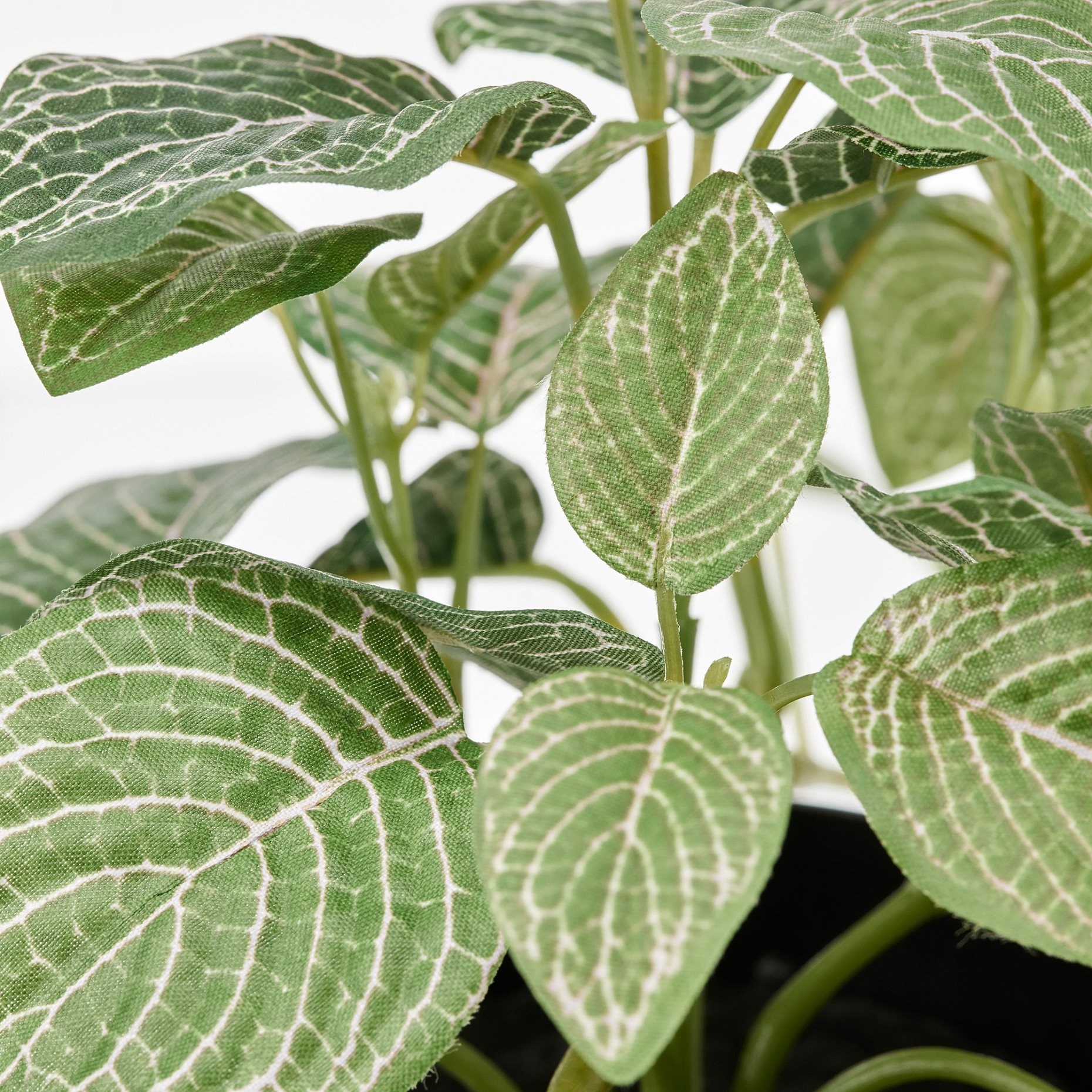 FEJKA, τεχνητό φυτό σε γλάστρα/εσωτερικού/εξωτερικού χώρου/Φιτόνια/κρεμαστό, 9 cm, 405.716.77