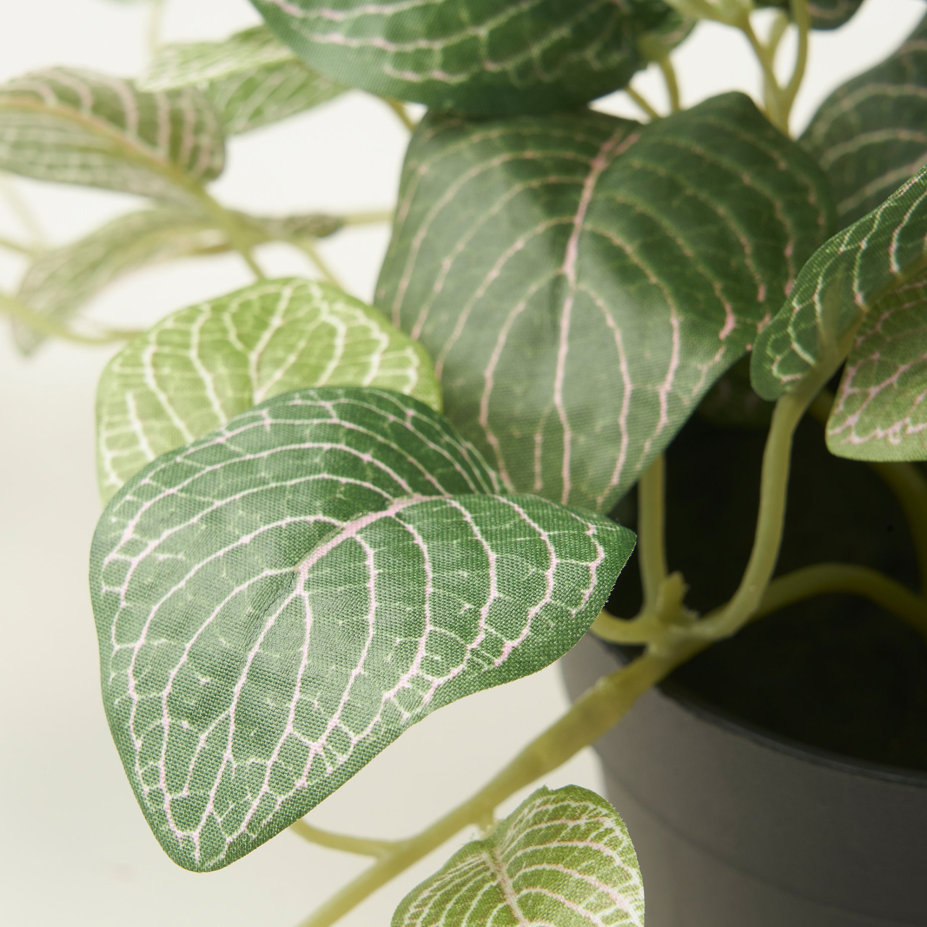 FEJKA, τεχνητό φυτό σε γλάστρα/εσωτερικού/εξωτερικού χώρου/Φιτόνια/κρεμαστό, 9 cm, 405.716.77