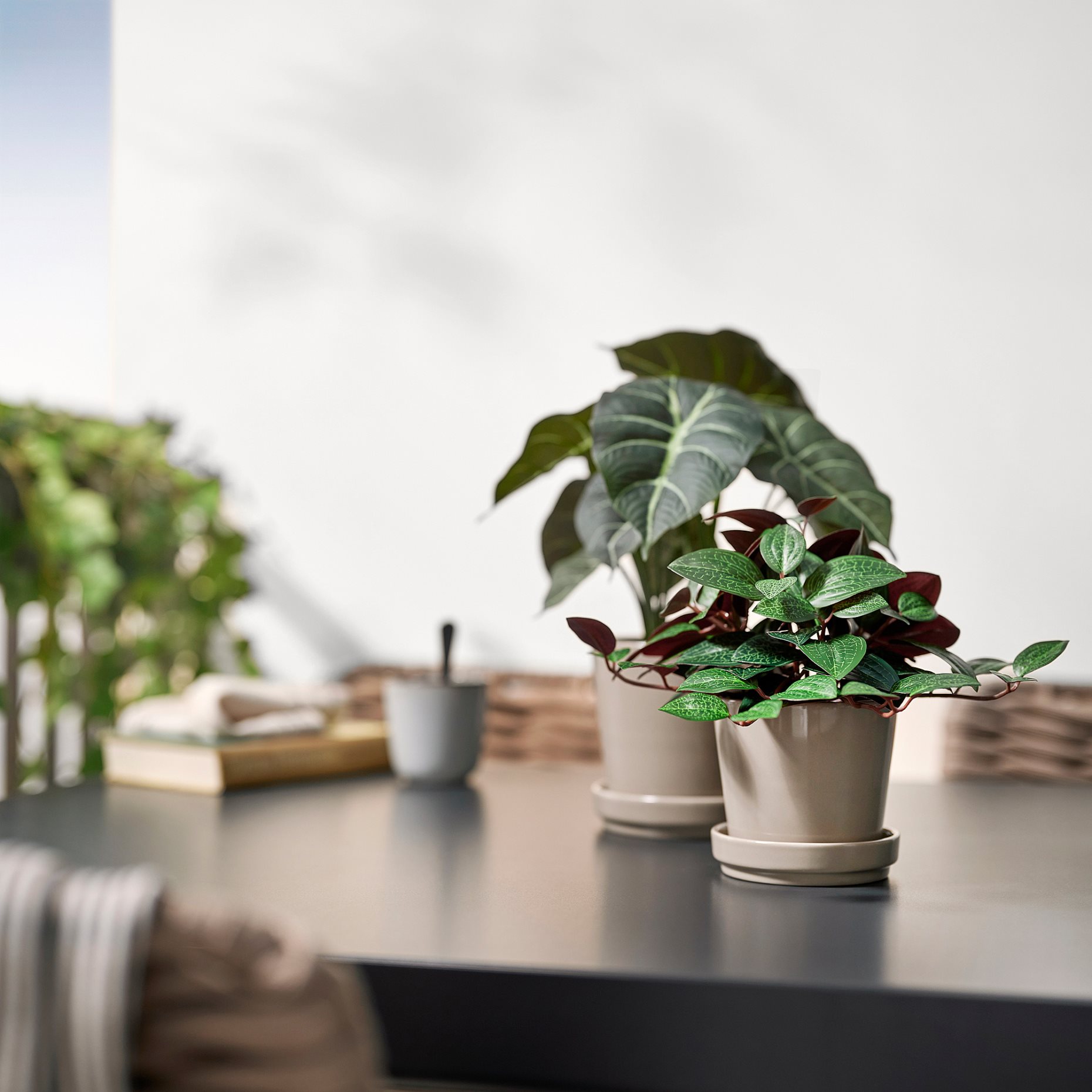 FEJKA, artificial potted plant in/outdoor Jewel orchid, 9 cm, 406.008.68