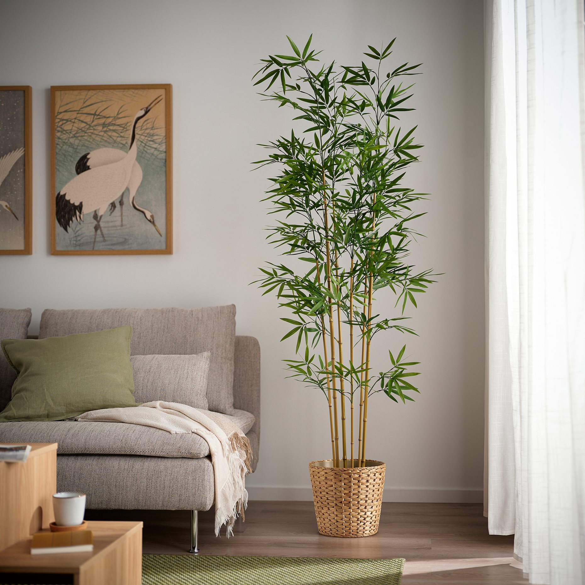 FEJKA, artificial potted plant in/outdoor/bamboo, 21 cm, 406.106.07