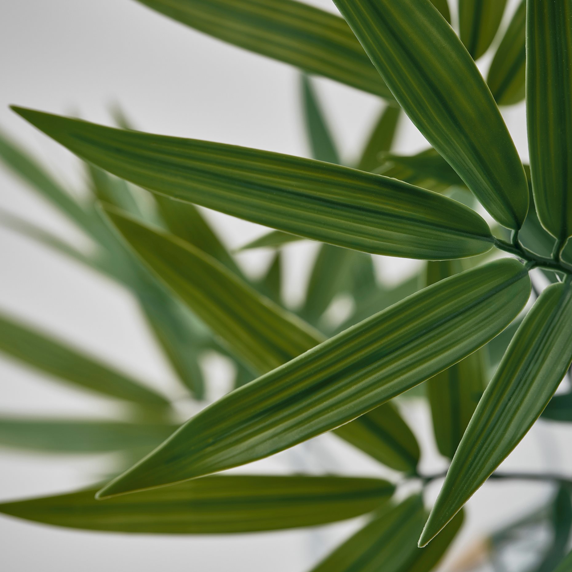 FEJKA, artificial potted plant in/outdoor/bamboo, 21 cm, 406.106.07