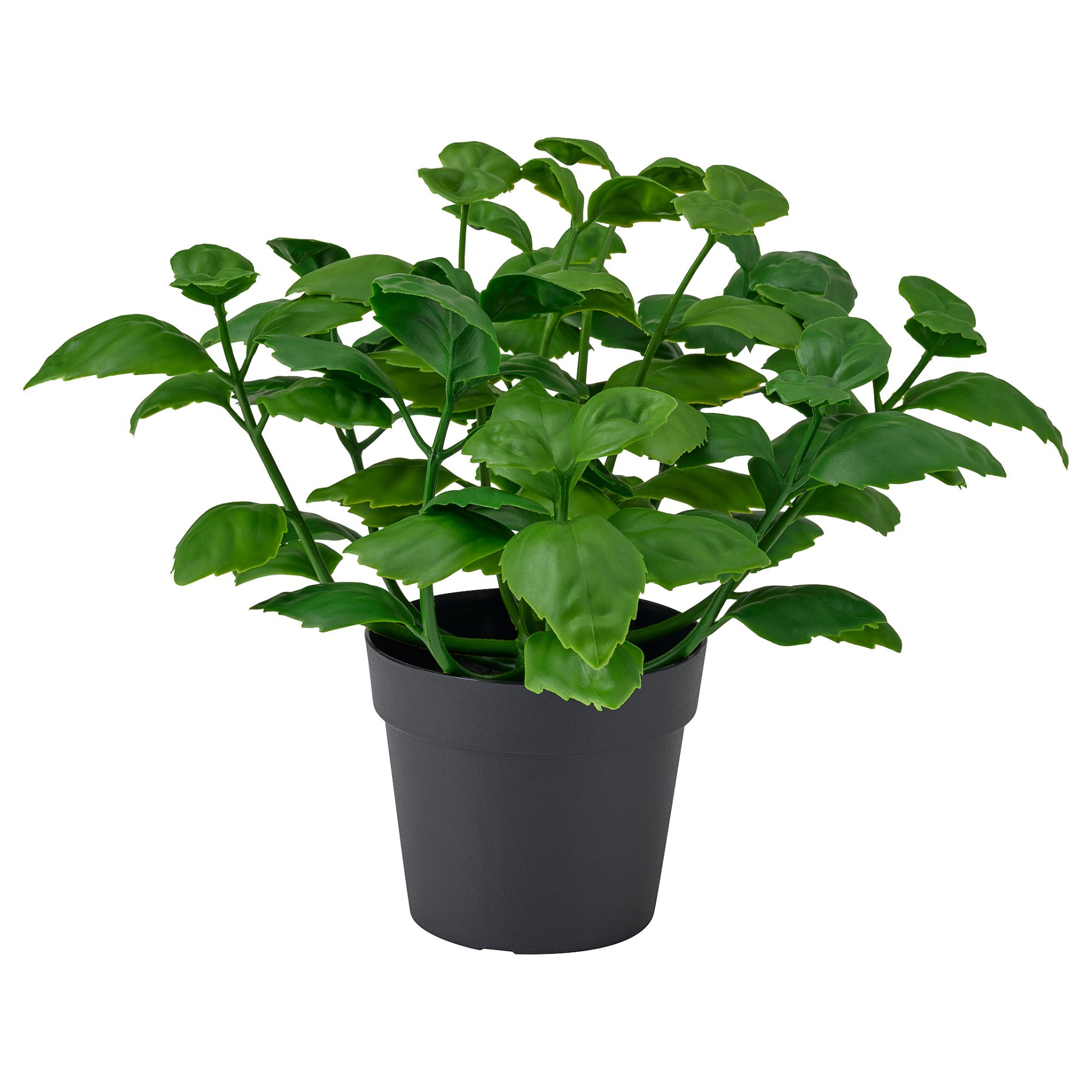 FEJKA, artificial potted plant in/outdoor/basil, 9 cm, 406.107.49
