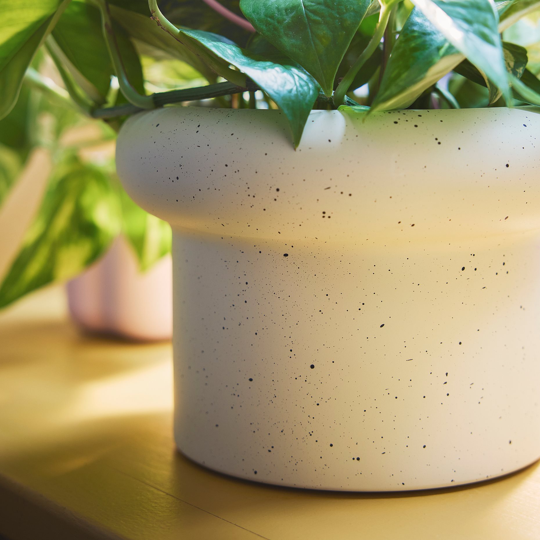 DOFTRIPS, κασπό, 15 cm, 406.123.24