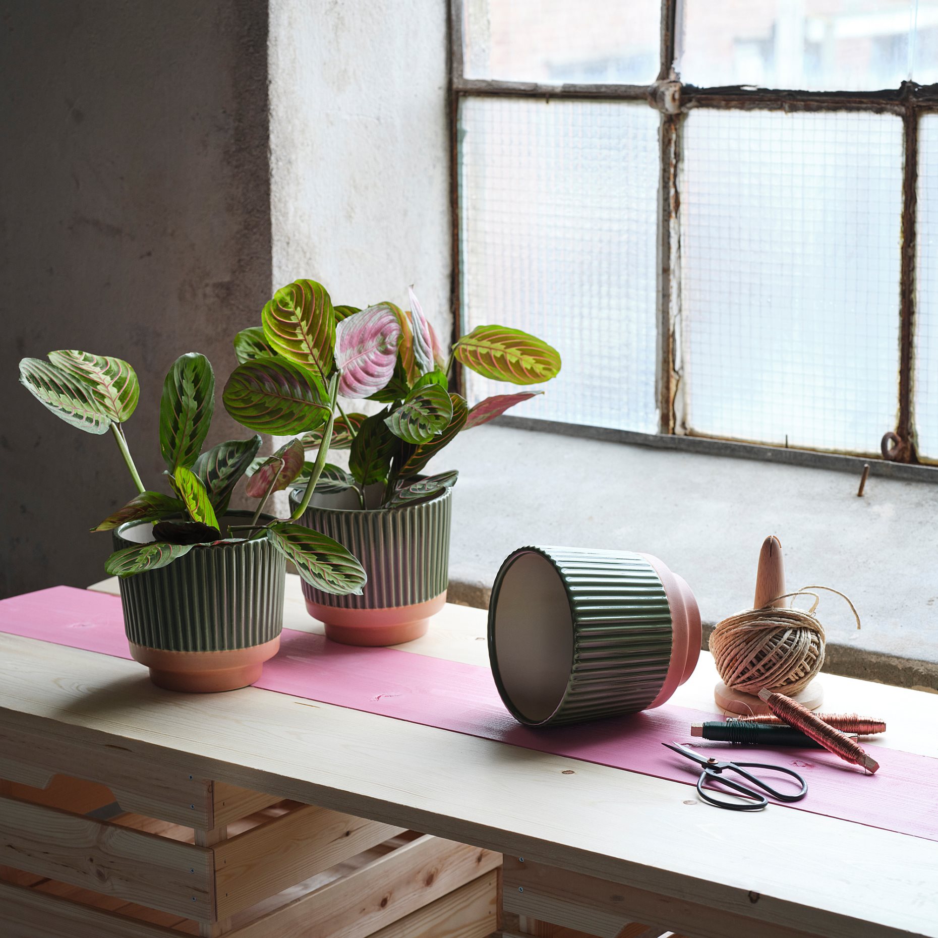 MÄVINN, plant pot, 406.151.29