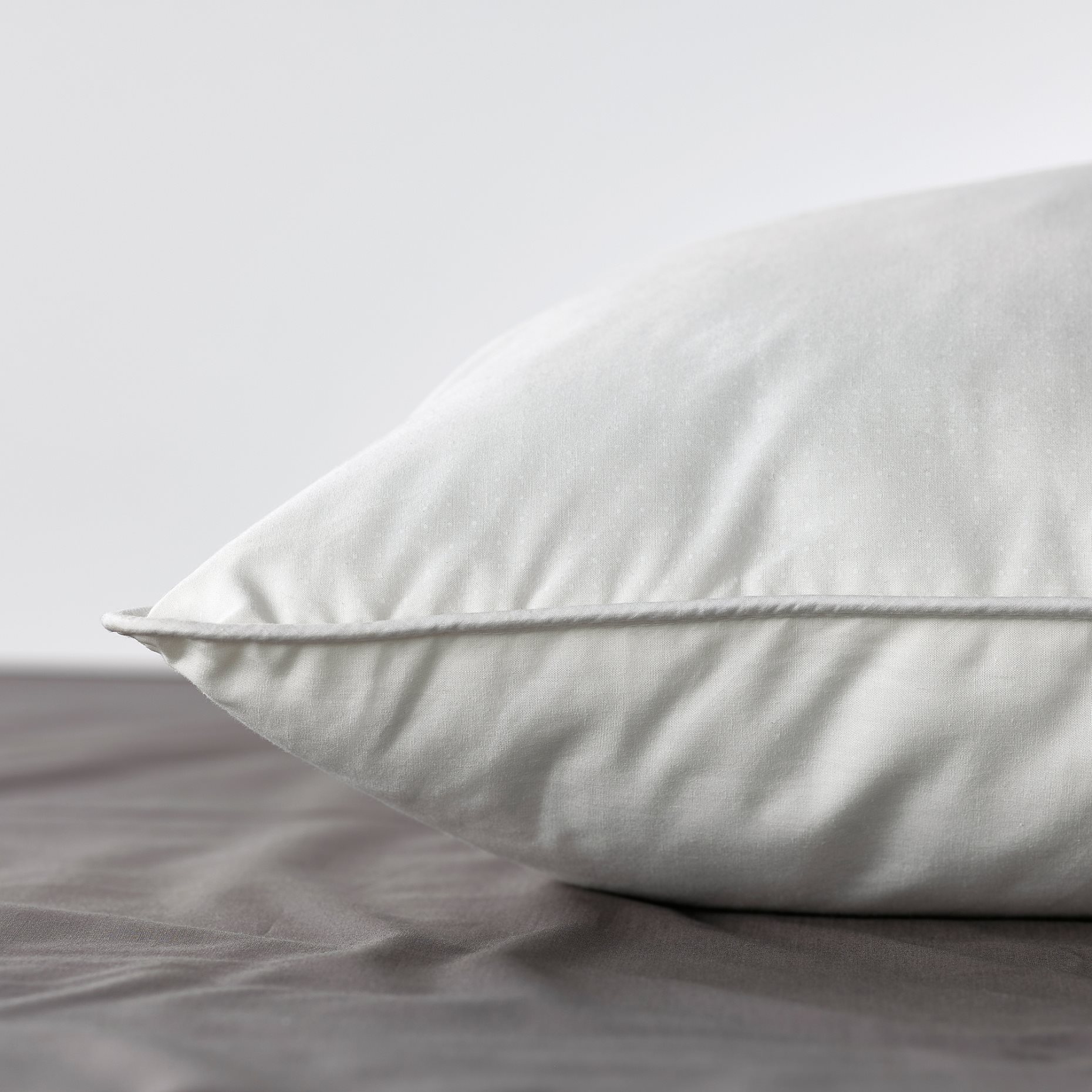 SKOGSFRÄKEN, pillow low, 50x60 cm, 406.272.12