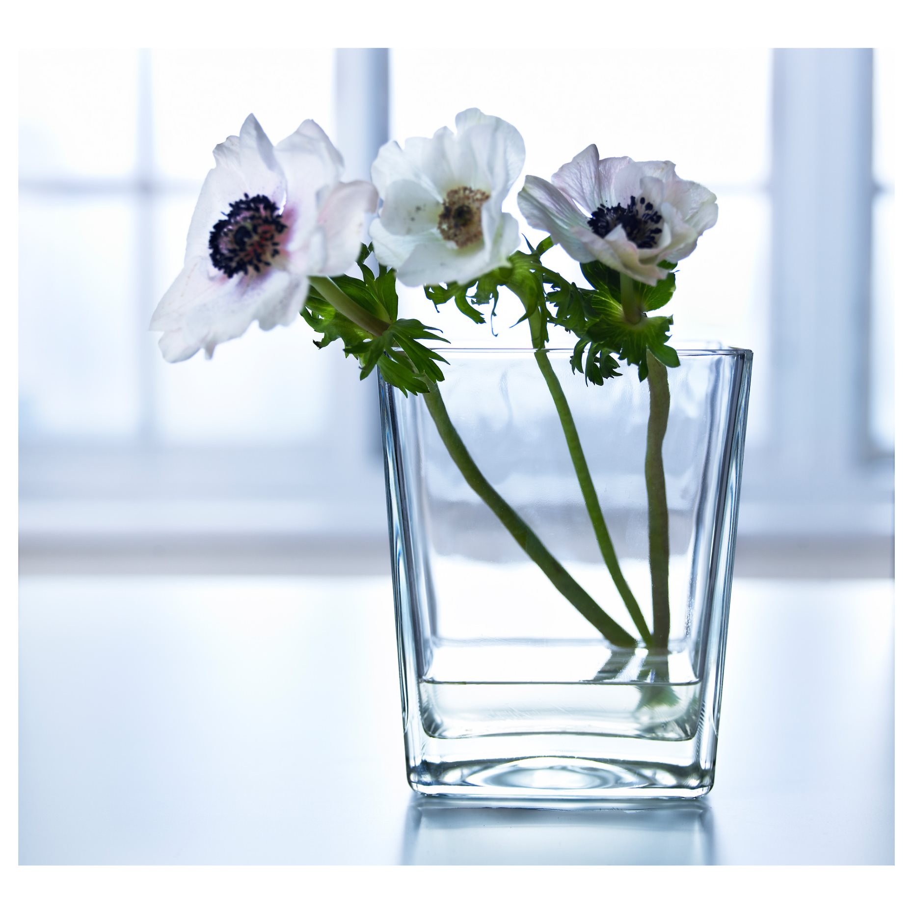 KLOTTRIG, βάζο, 17 cm, 504.623.57