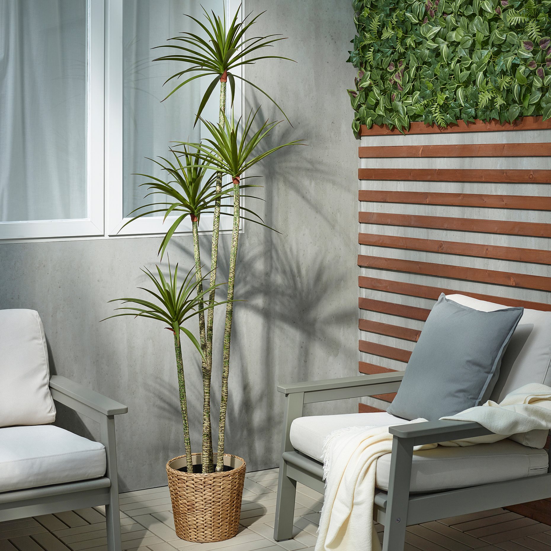 FEJKA, artificial potted plant/in/outdoor/Dracena, 23 cm, 505.486.34