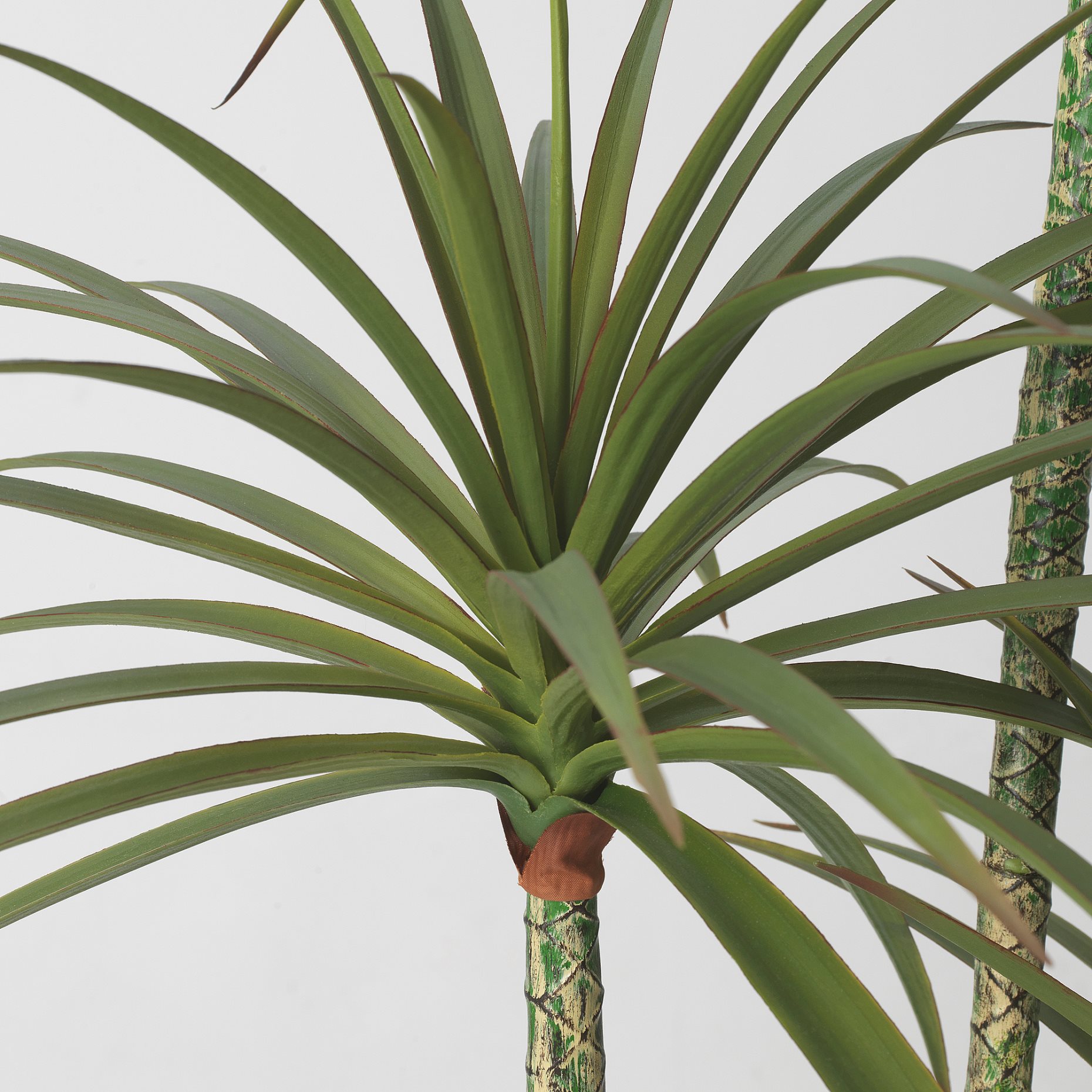 FEJKA, artificial potted plant/in/outdoor/Dracena, 23 cm, 505.486.34