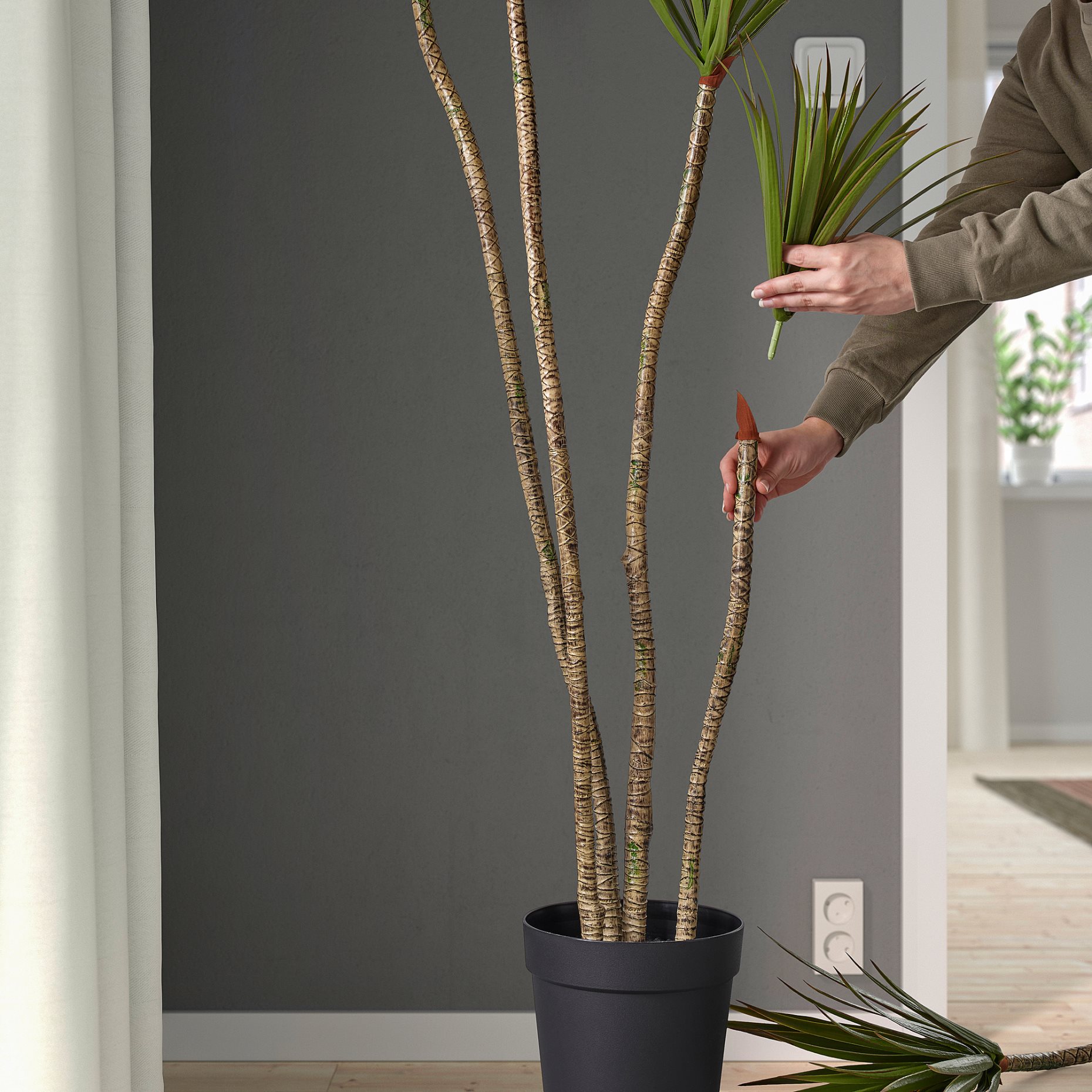 FEJKA, artificial potted plant/in/outdoor/Dracena, 23 cm, 505.486.34
