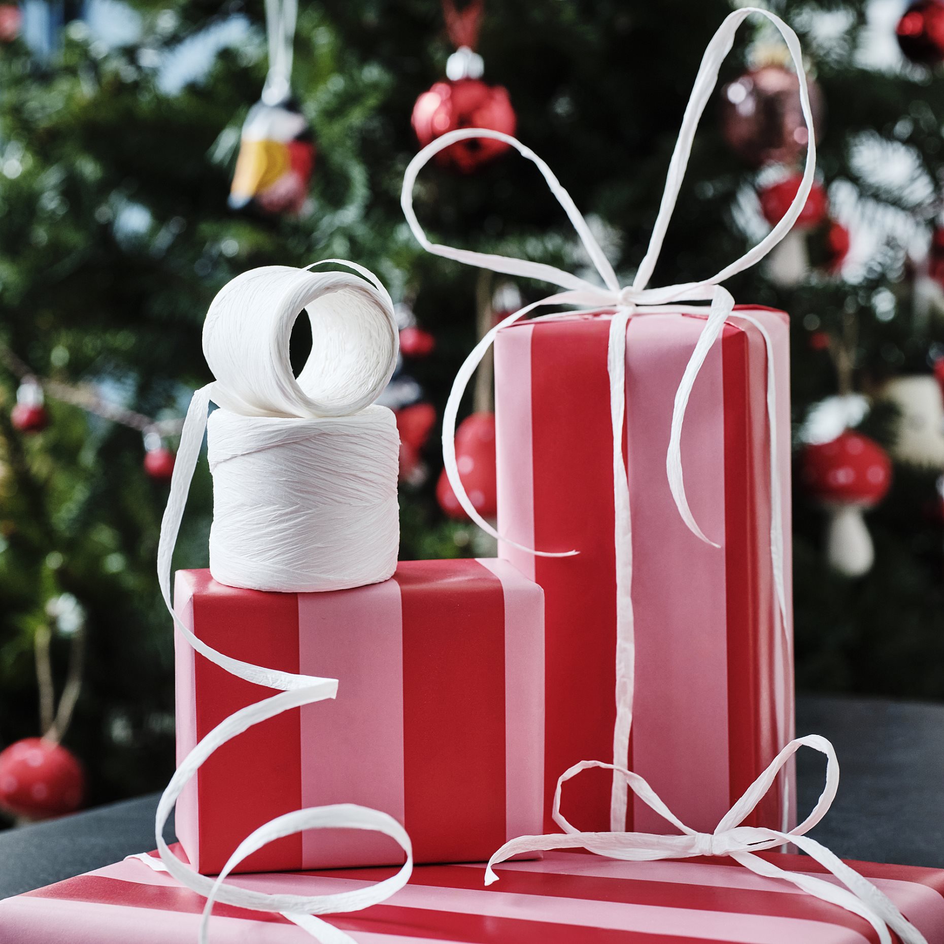 VINTERFINT, κορδέλα, 50 m, 505.773.01