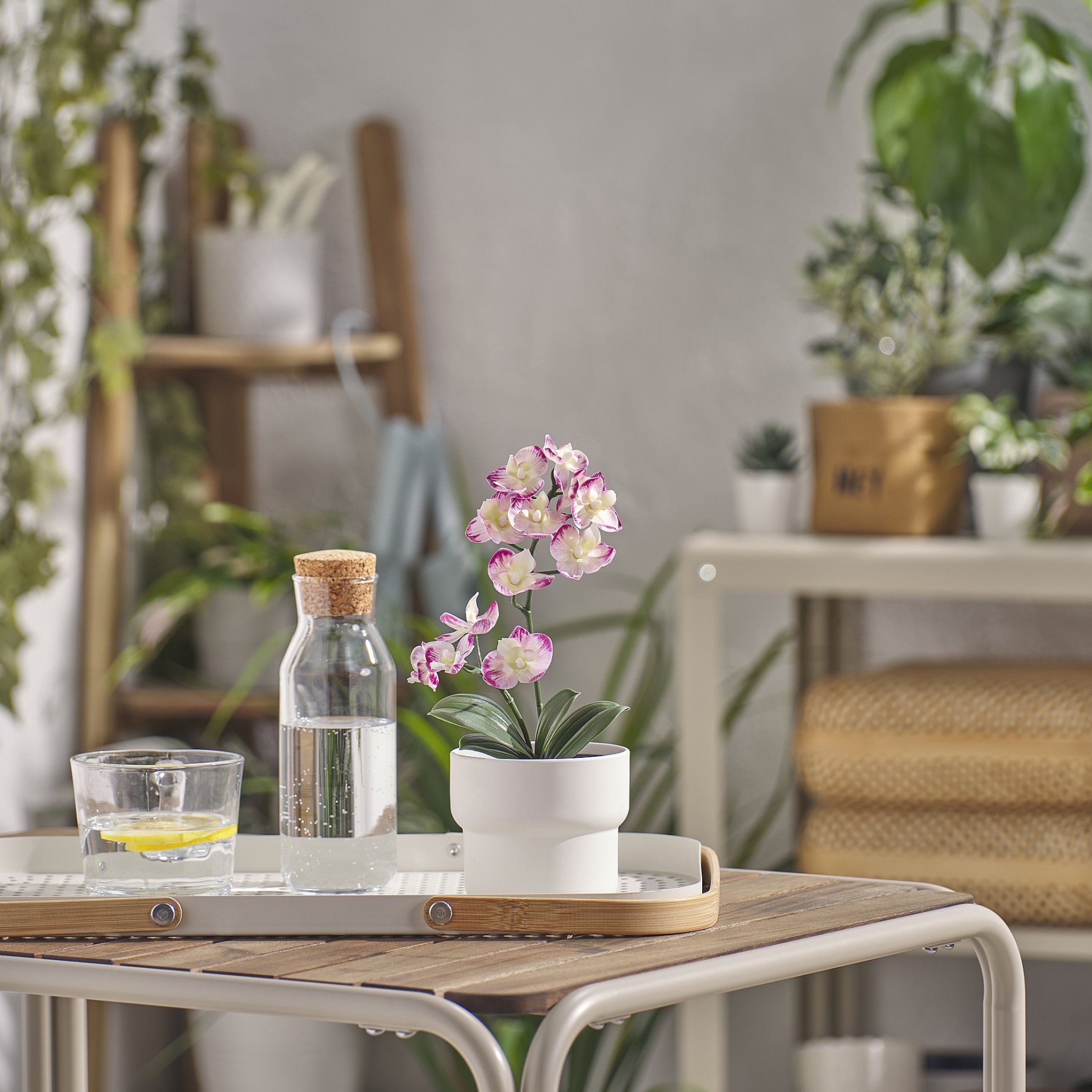 FEJKA, artificial potted plant in/outdoor/Orchid, 9 cm, 505.932.16