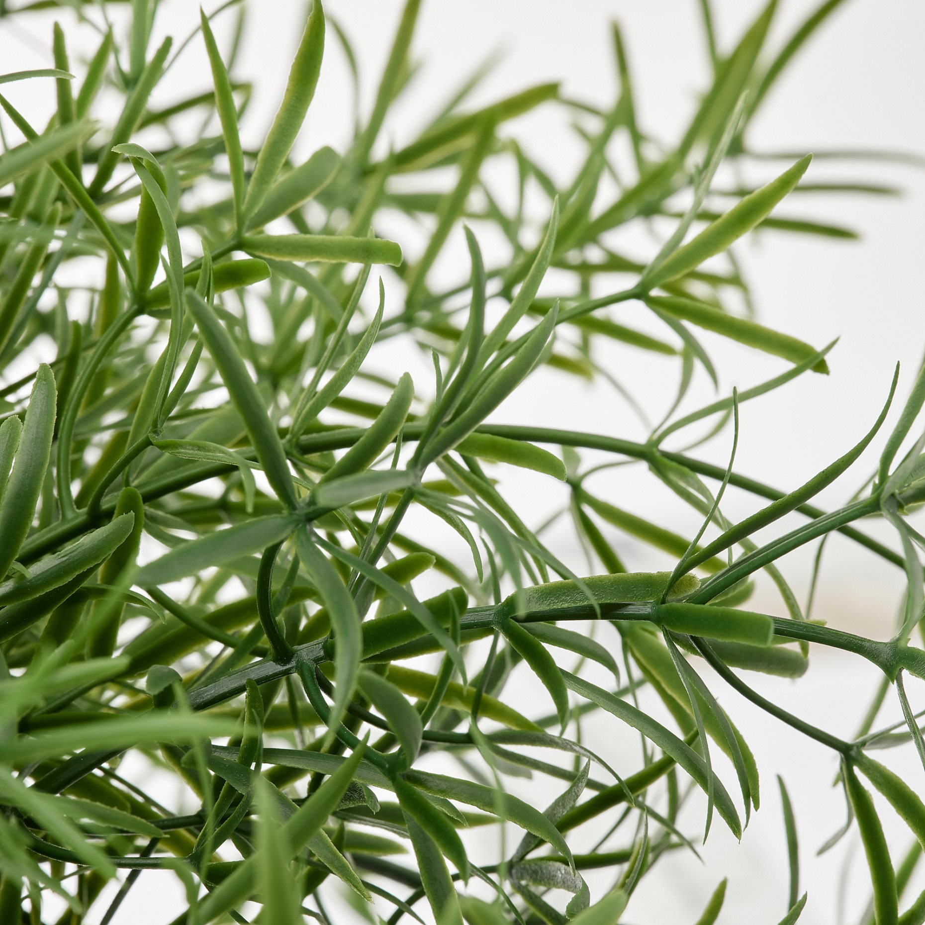 FEJKA, artificial potted plant in/outdoor Asparagus/hanging, 12 cm, 505.932.40