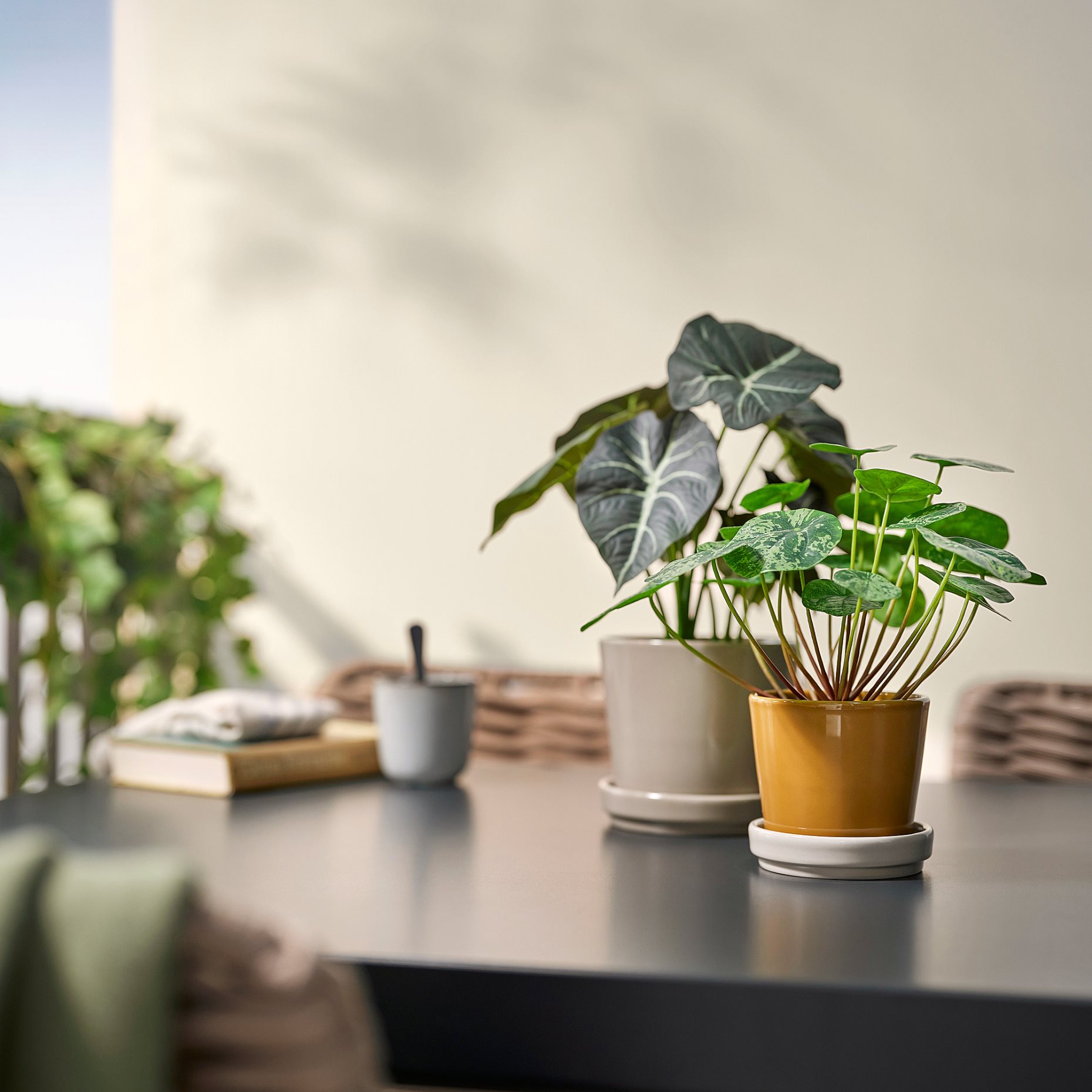 KLOTLÖNN, plant pot with saucer in/outdoor, 9 cm, 505.982.71