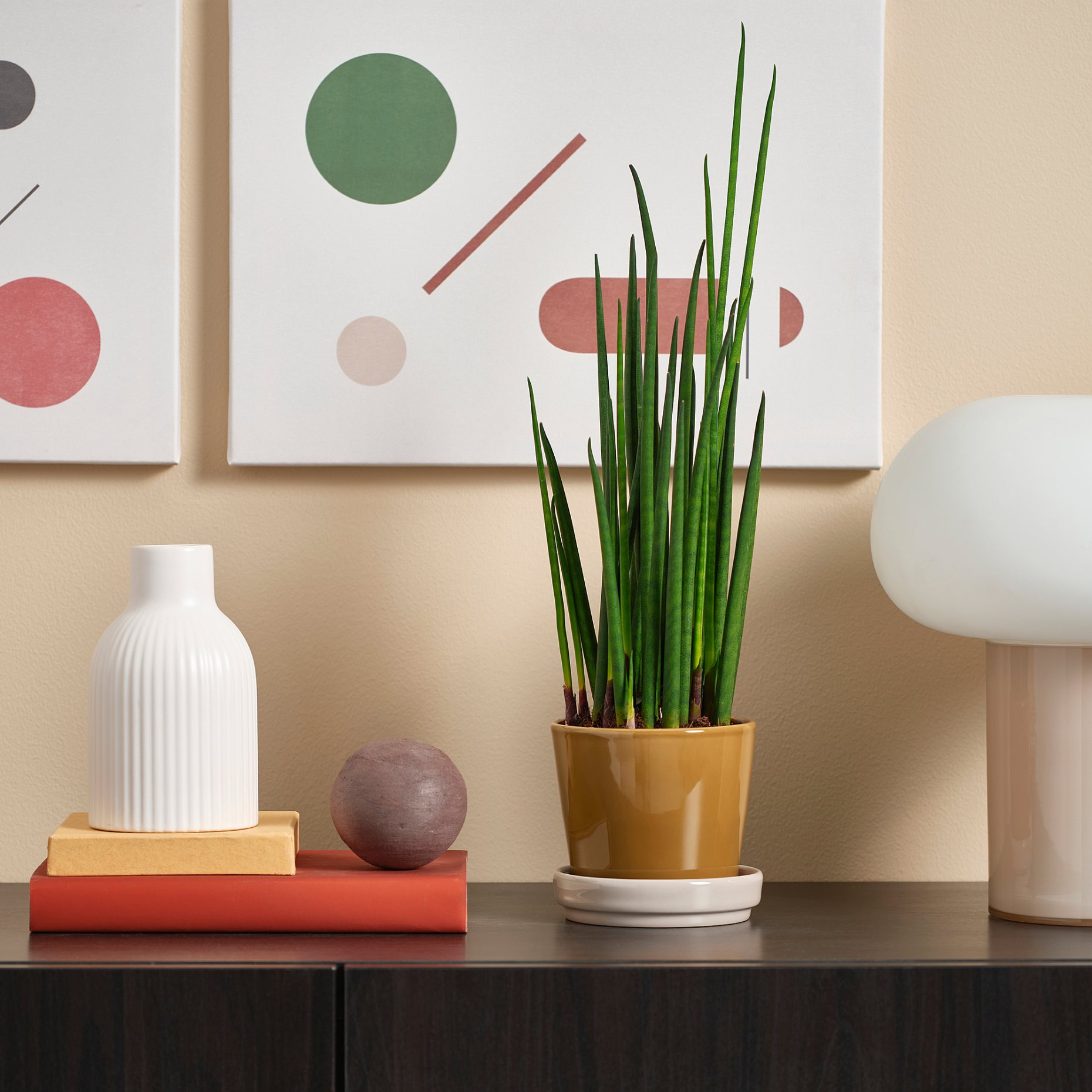 KLOTLÖNN, plant pot with saucer in/outdoor, 9 cm, 505.982.71