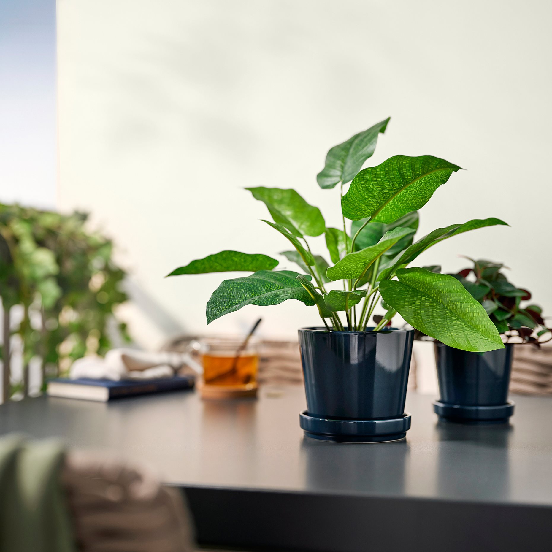 FEJKA, τεχνητό φυτό σε γλάστρα εσωτερικού/εξωτερικού χώρου/Καλαθέα, 12 cm, 506.008.63