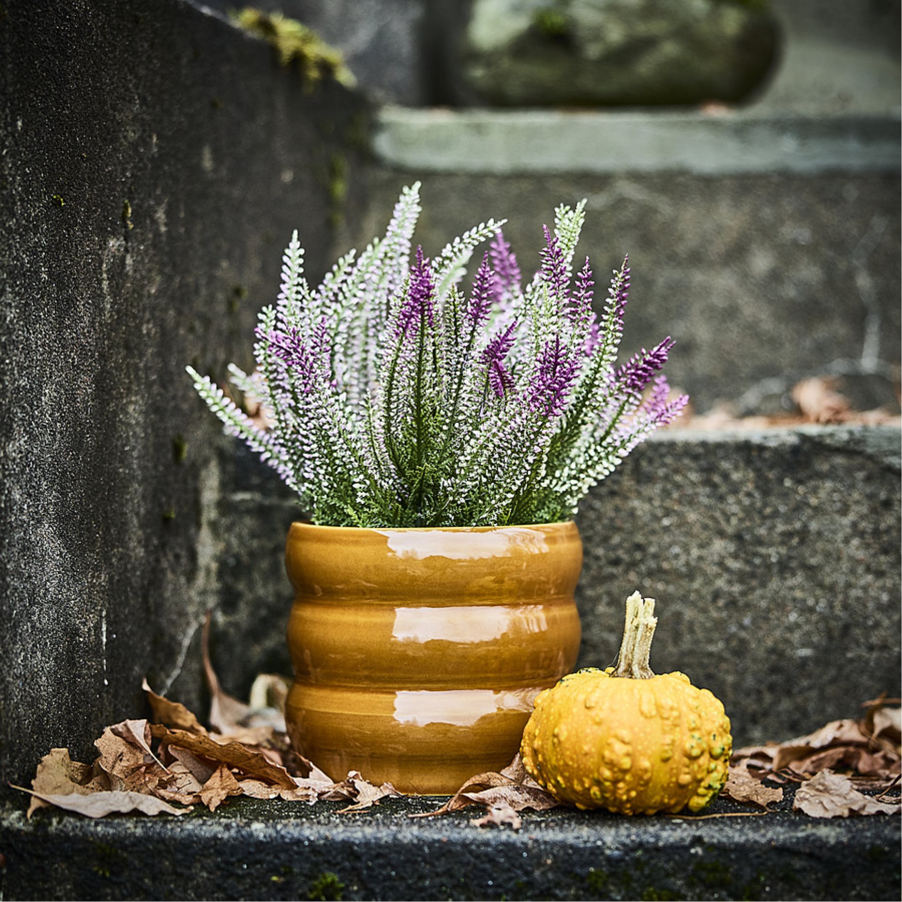 FEJKA2026, artificial potted plant in/outdoor/heather, 12 cm, 506.312.18