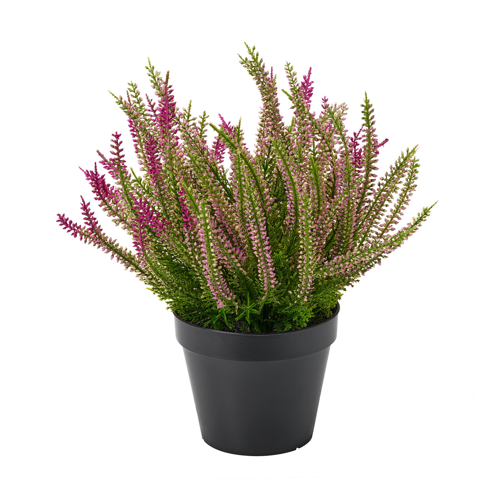 FEJKA2026, artificial potted plant in/outdoor/heather, 12 cm, 506.312.18