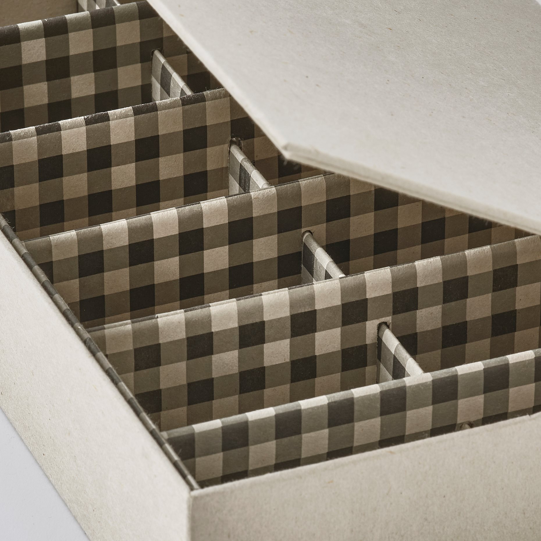 RAGODLING, κουτί με διαχωριστικά, 30x18x6 cm, 605.658.21